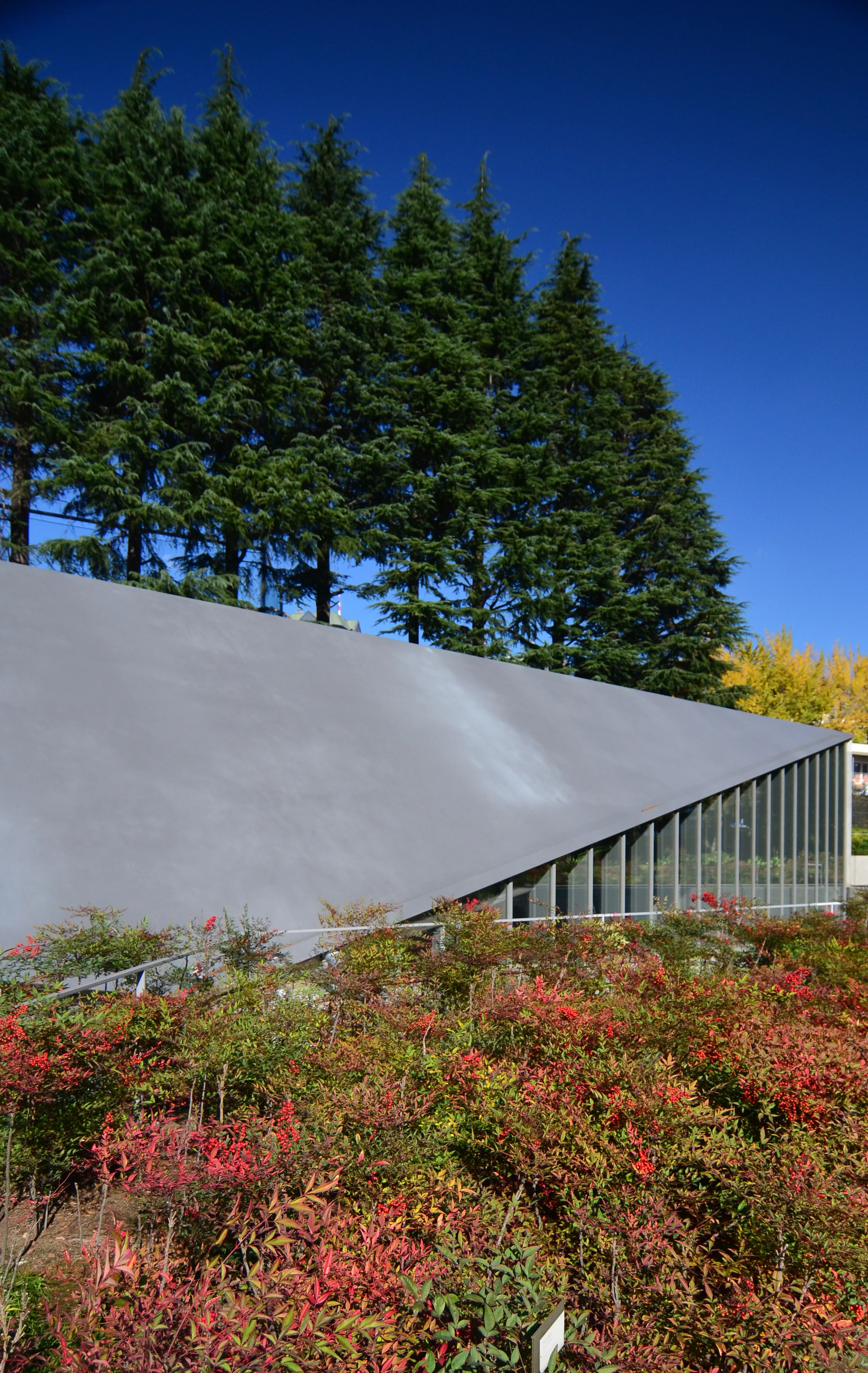 Tadao Ando_21 21 Design Sight 01_Andrew Pham 05.jpg