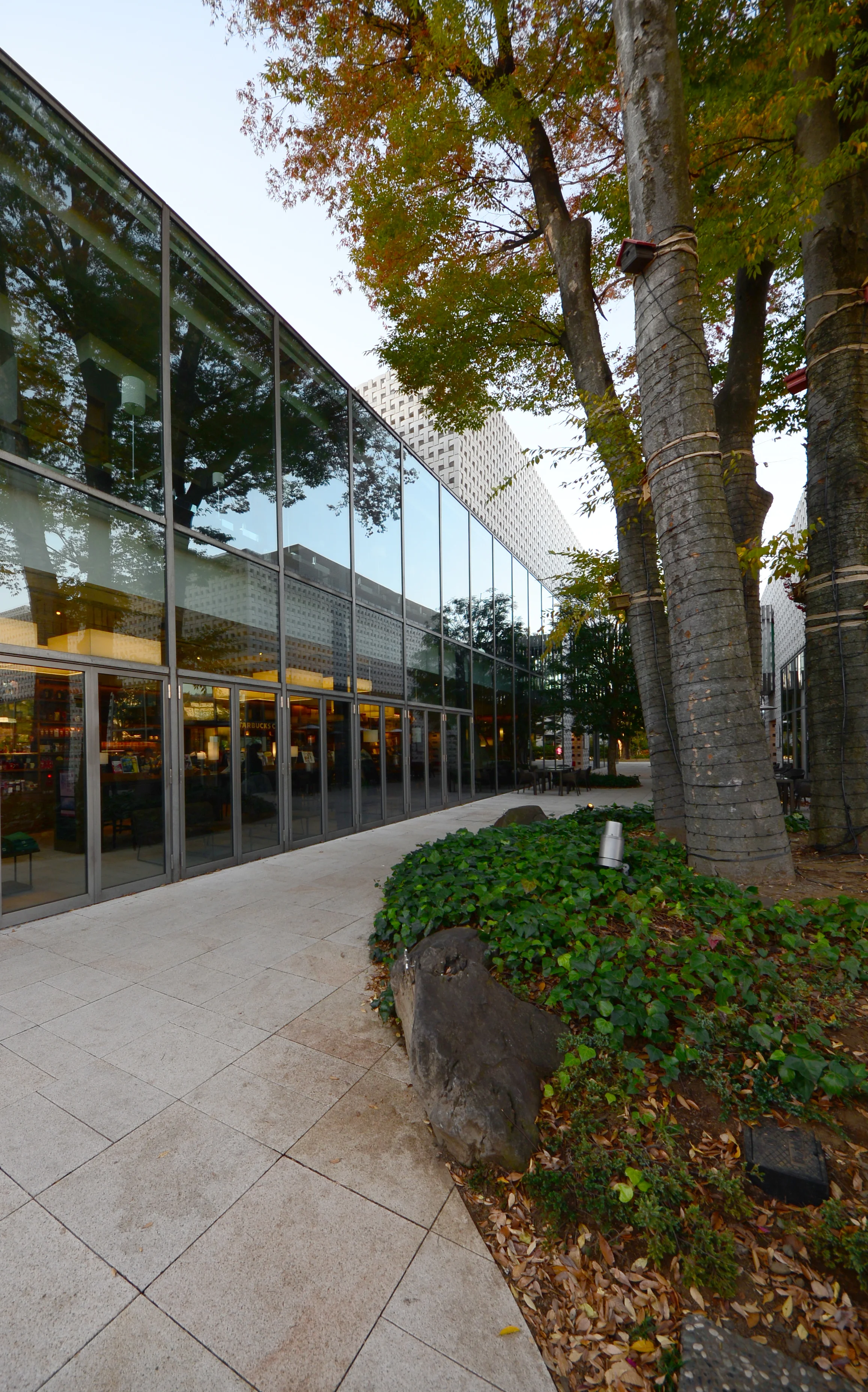 Klein Dytham Architects_Tsutaya Books_Daikanyama_Tokyo_Andrew Pham 12.jpg