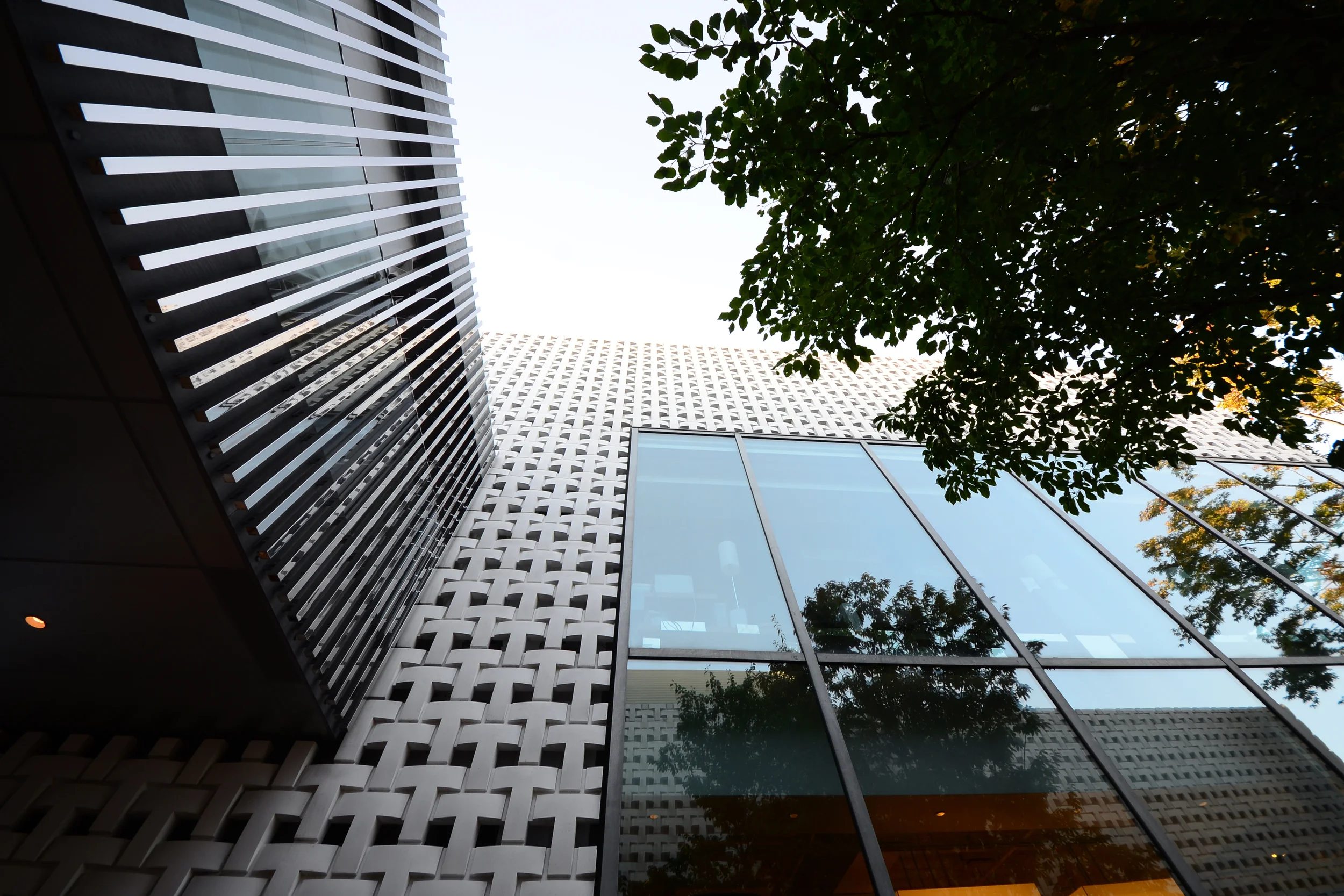 Klein Dytham Architects_Tsutaya Books_Daikanyama_Tokyo_Andrew Pham 26 (2).jpg