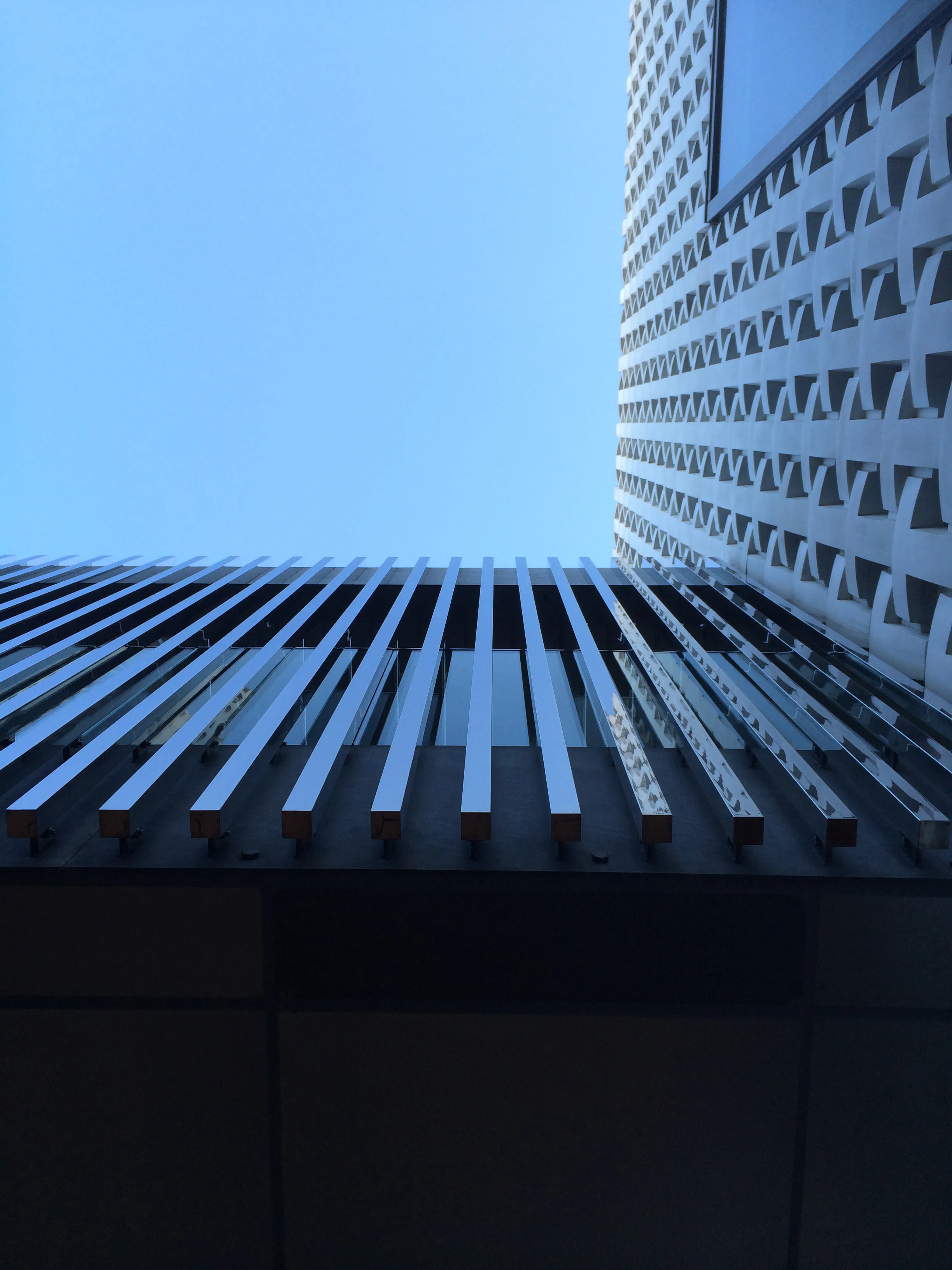 Klein Dytham Architects_Tsutaya Books_Daikanyama_Tokyo_Andrew Pham 36.jpg