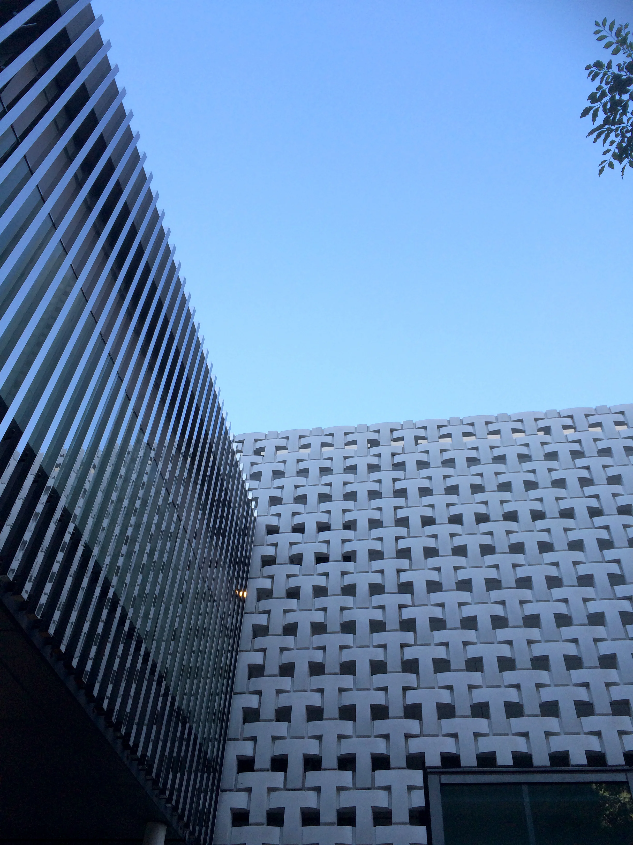 Klein Dytham Architects_Tsutaya Books_Daikanyama_Tokyo_Andrew Pham 38.jpg