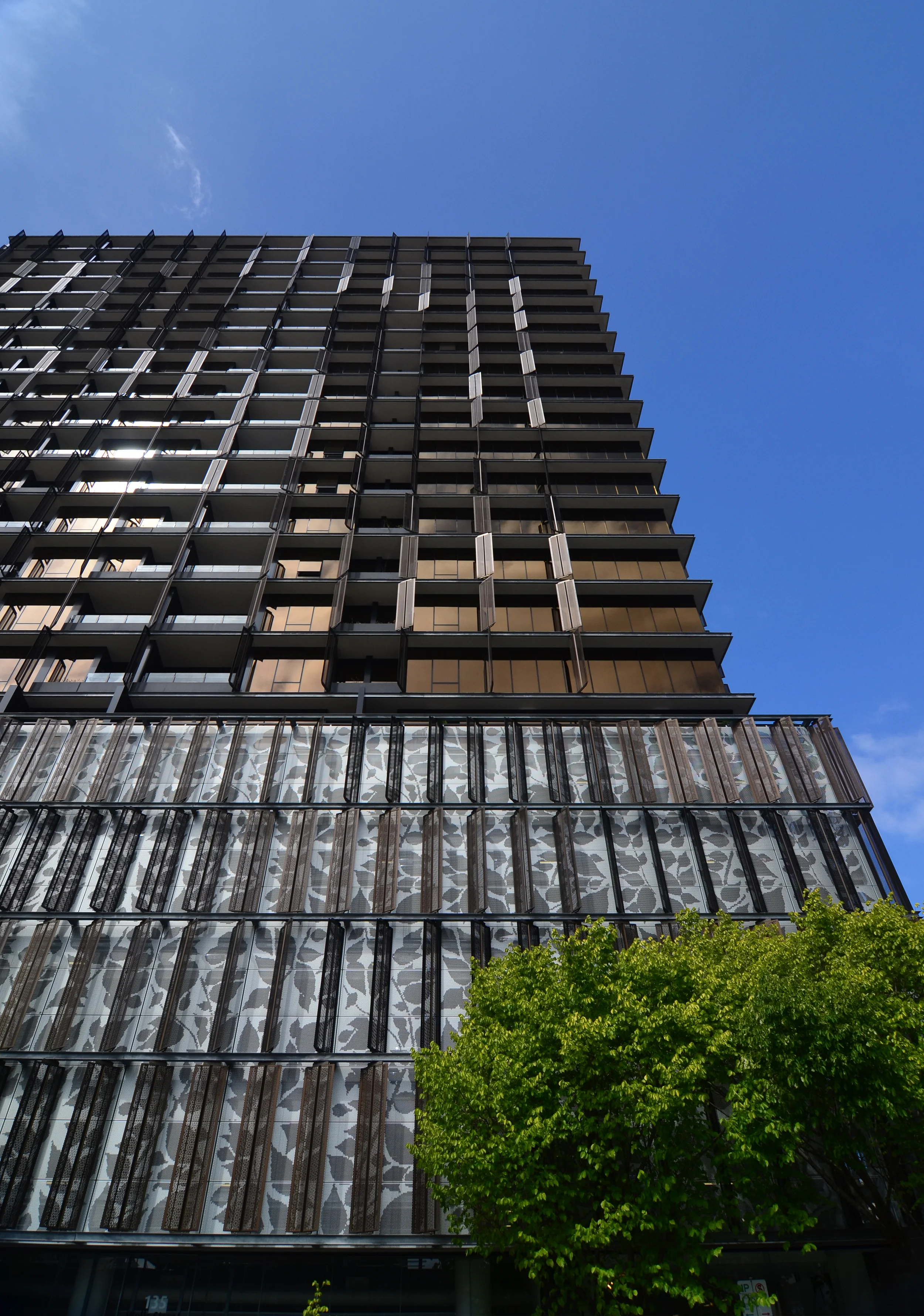Elenberg Fraser Architects - Elm Apartments - Andrew Pham 09.jpg