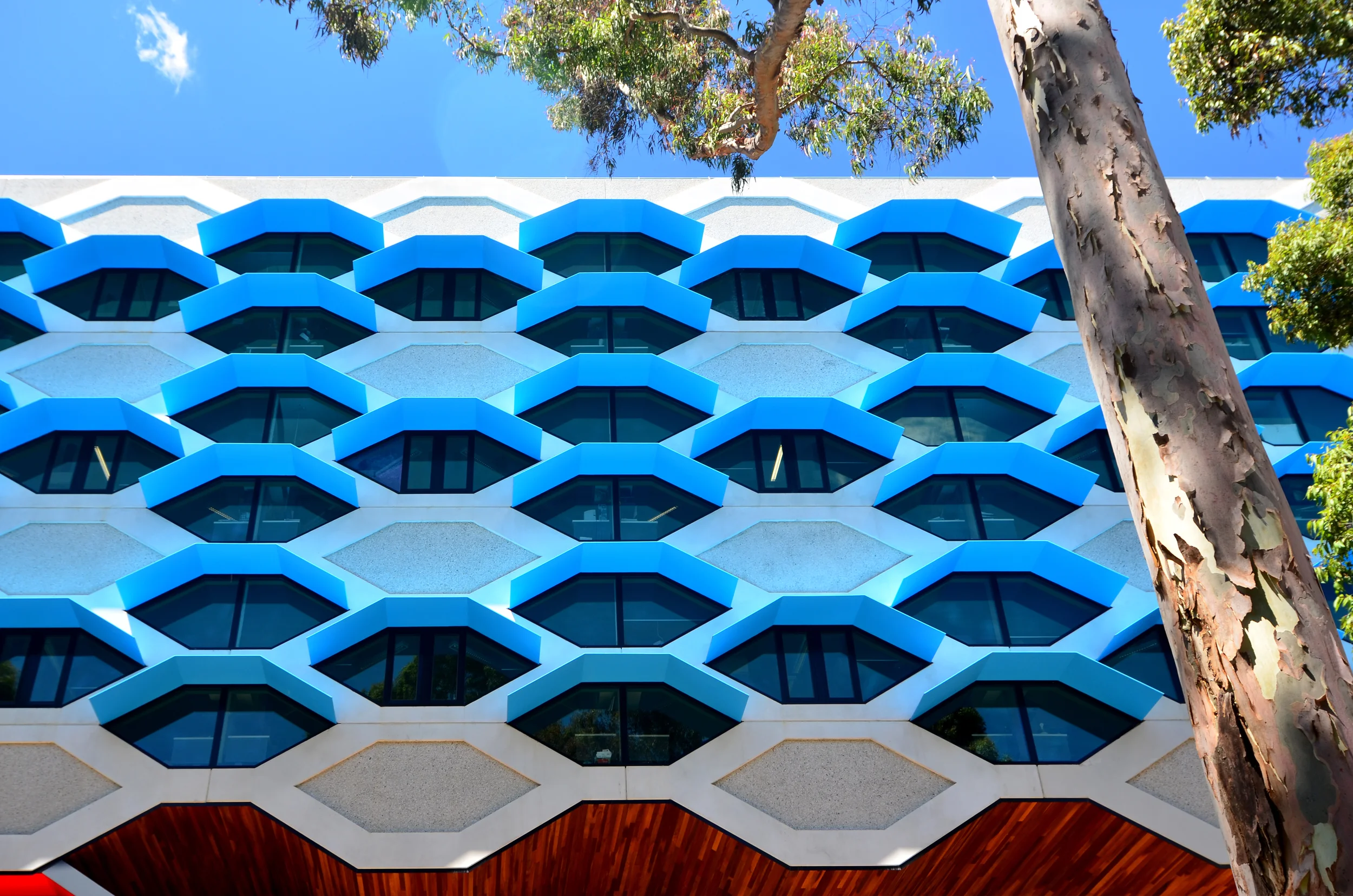 Lyons Architecture_Latrobe University 16.jpg