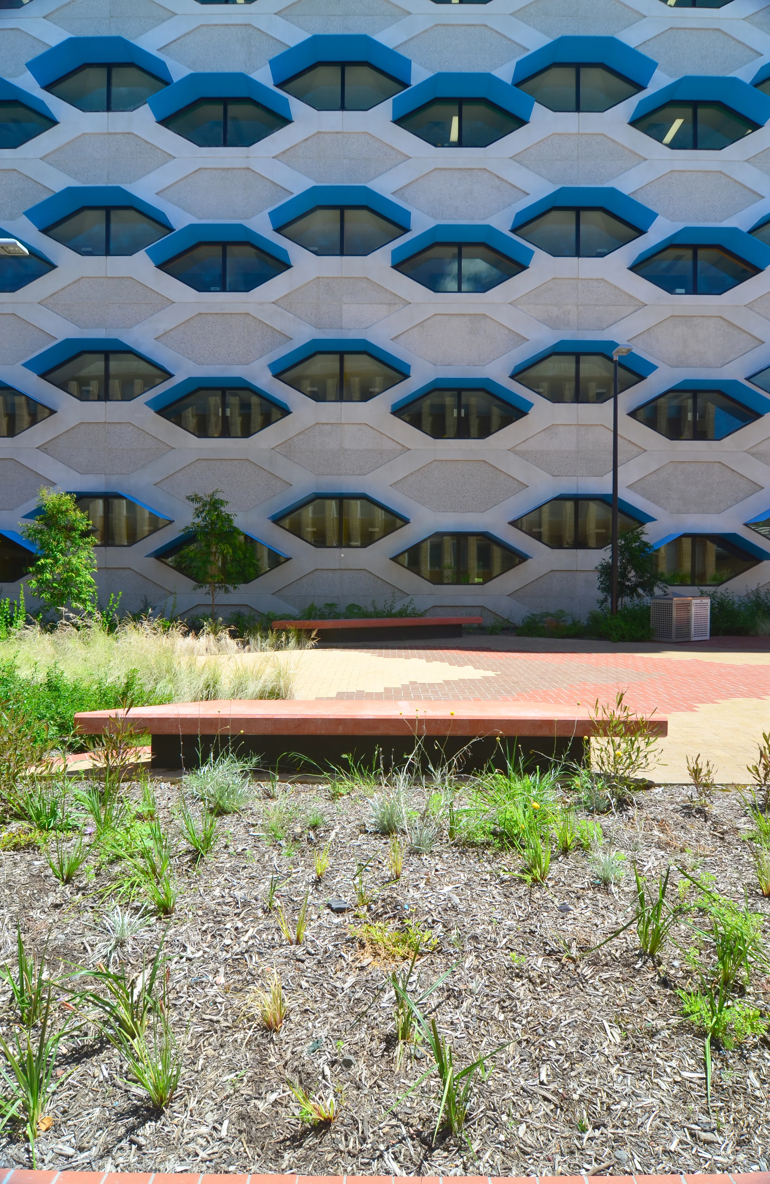 Lyons Architecture_Latrobe University 35.jpg