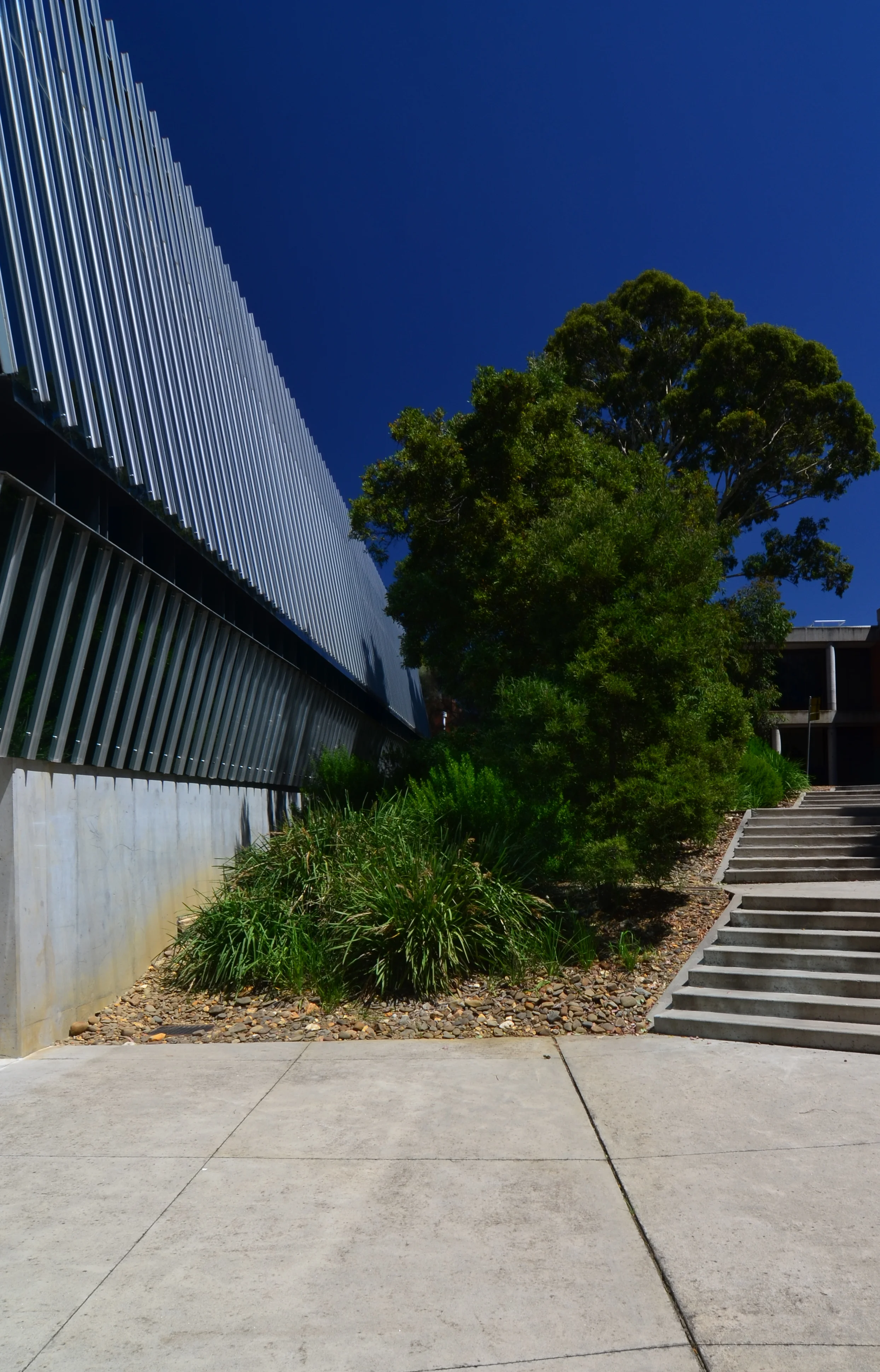 John Wardle Architects - RMIT Biosciences - Bundoora - Andrew Pham 46.jpg