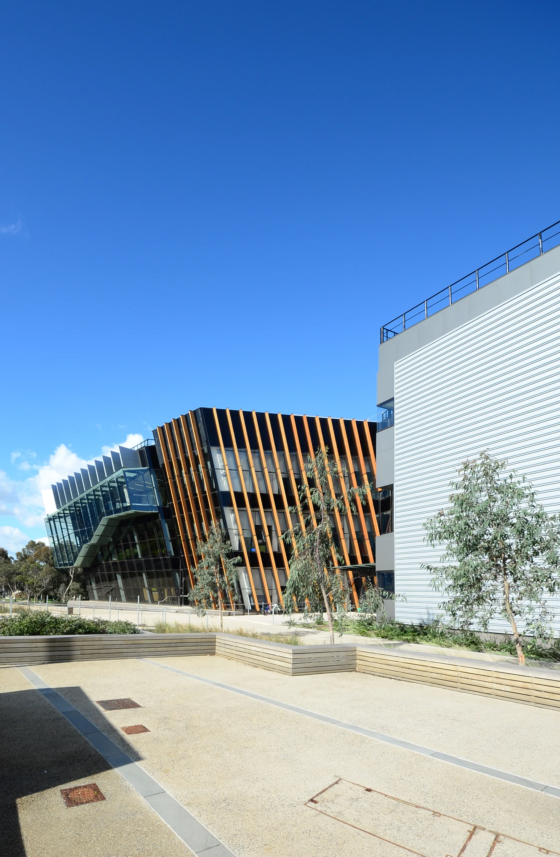 DesignInc Architects_Deakin Uni Community Health Building_Geelong_Andrew Pham 01.jpg
