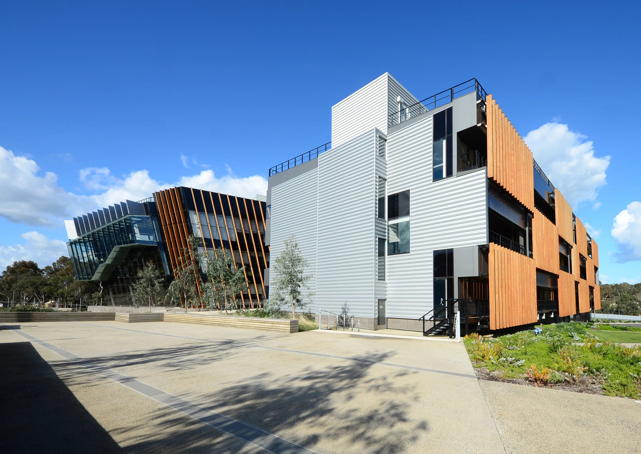 DesignInc Architects_Deakin Uni Community Health Building_Geelong_Andrew Pham 04.jpg