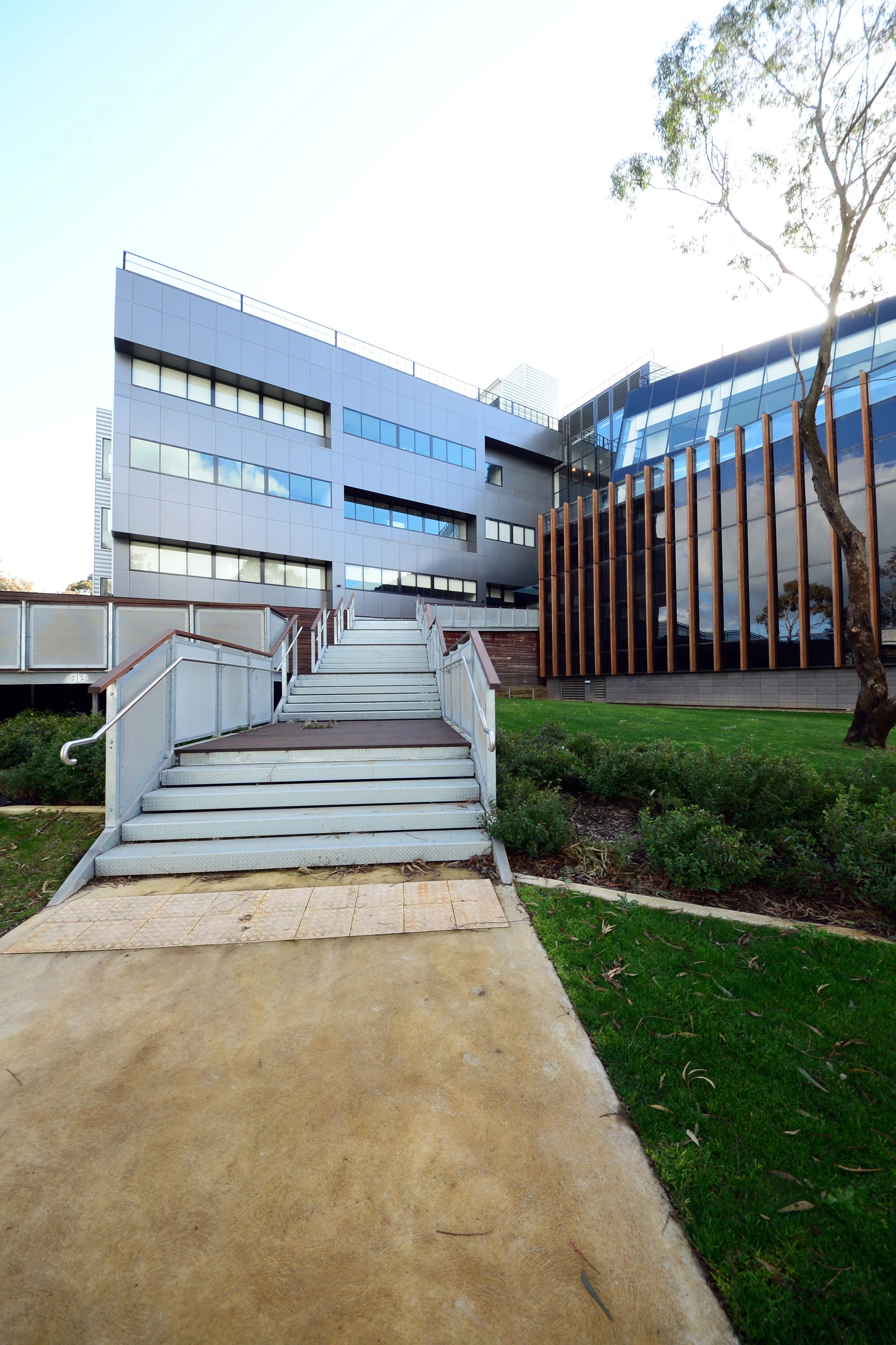 DesignInc Architects_Deakin Uni Community Health Building_Geelong_Andrew Pham 26.jpg