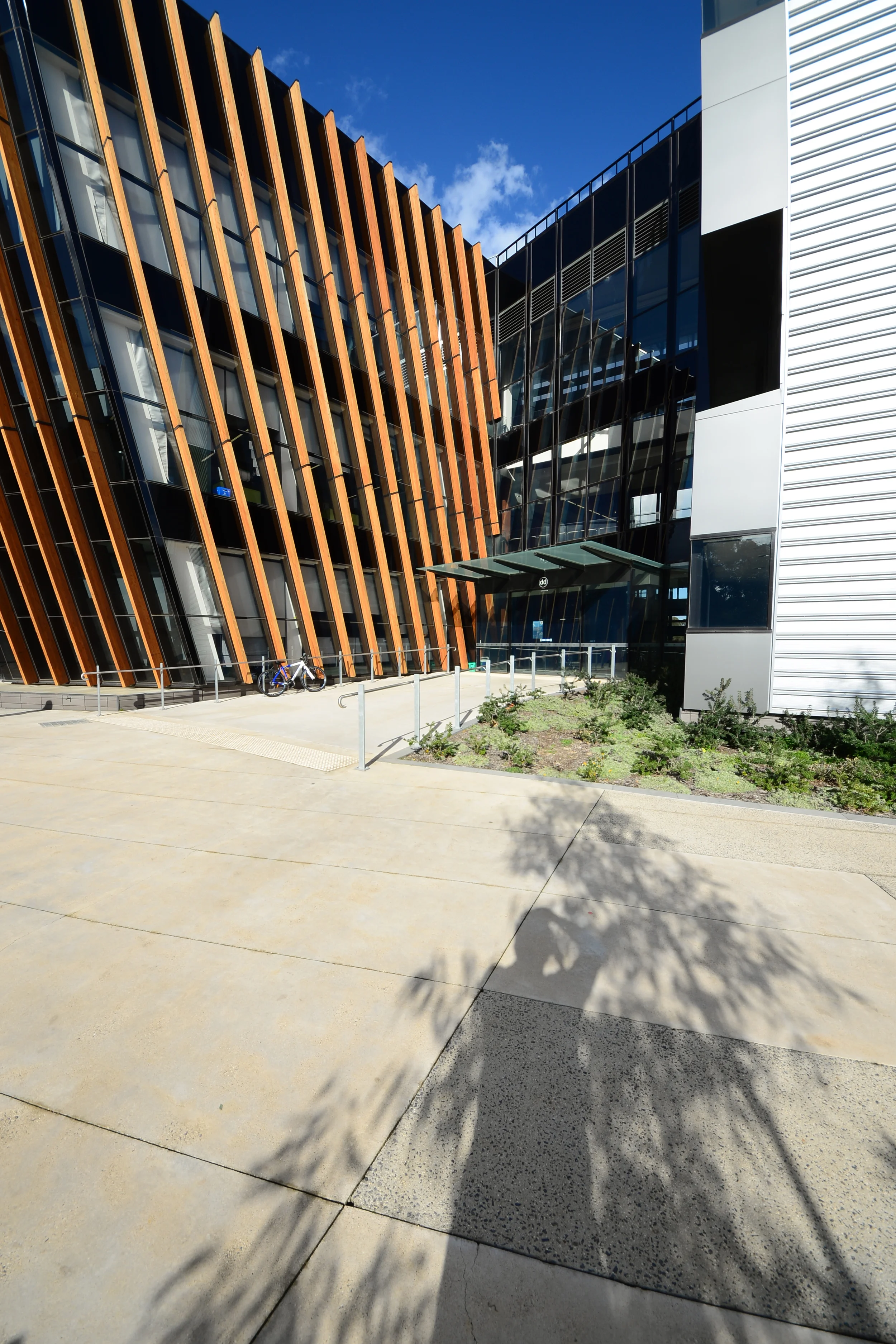 DesignInc Architects_Deakin Uni Community Health Building_Geelong_Andrew Pham 28.jpg
