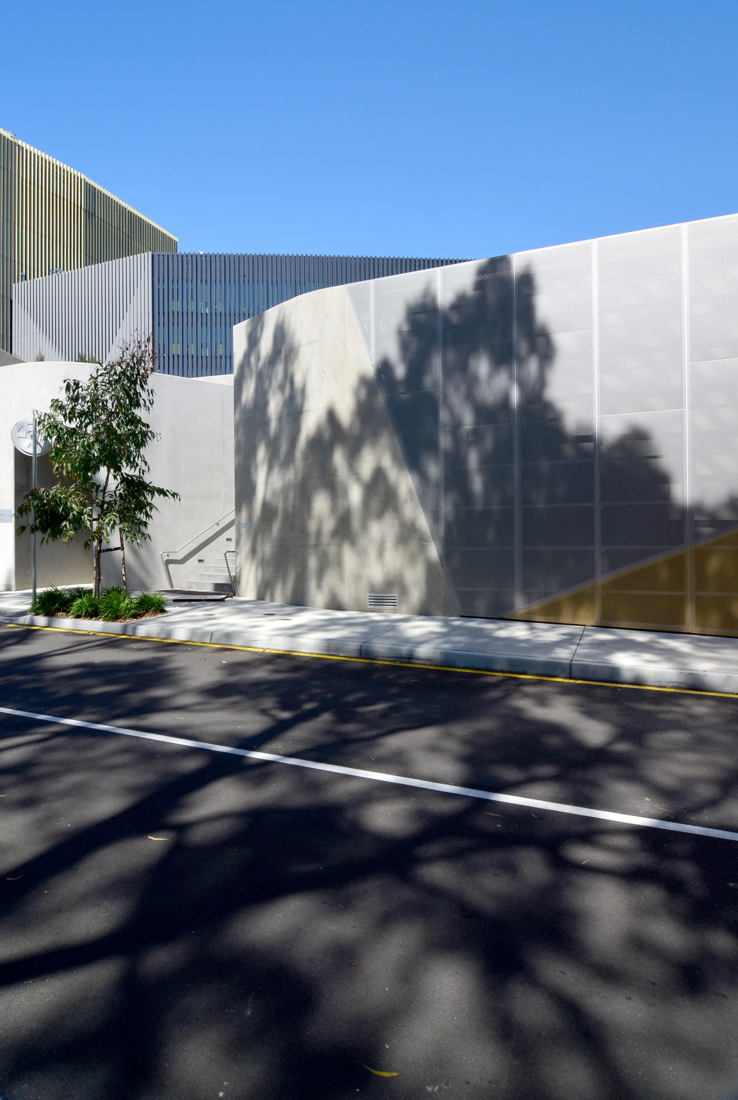 Woods Bagot_Deakin Uni Burwood Frontage Building_Andrew Pham 07.jpg