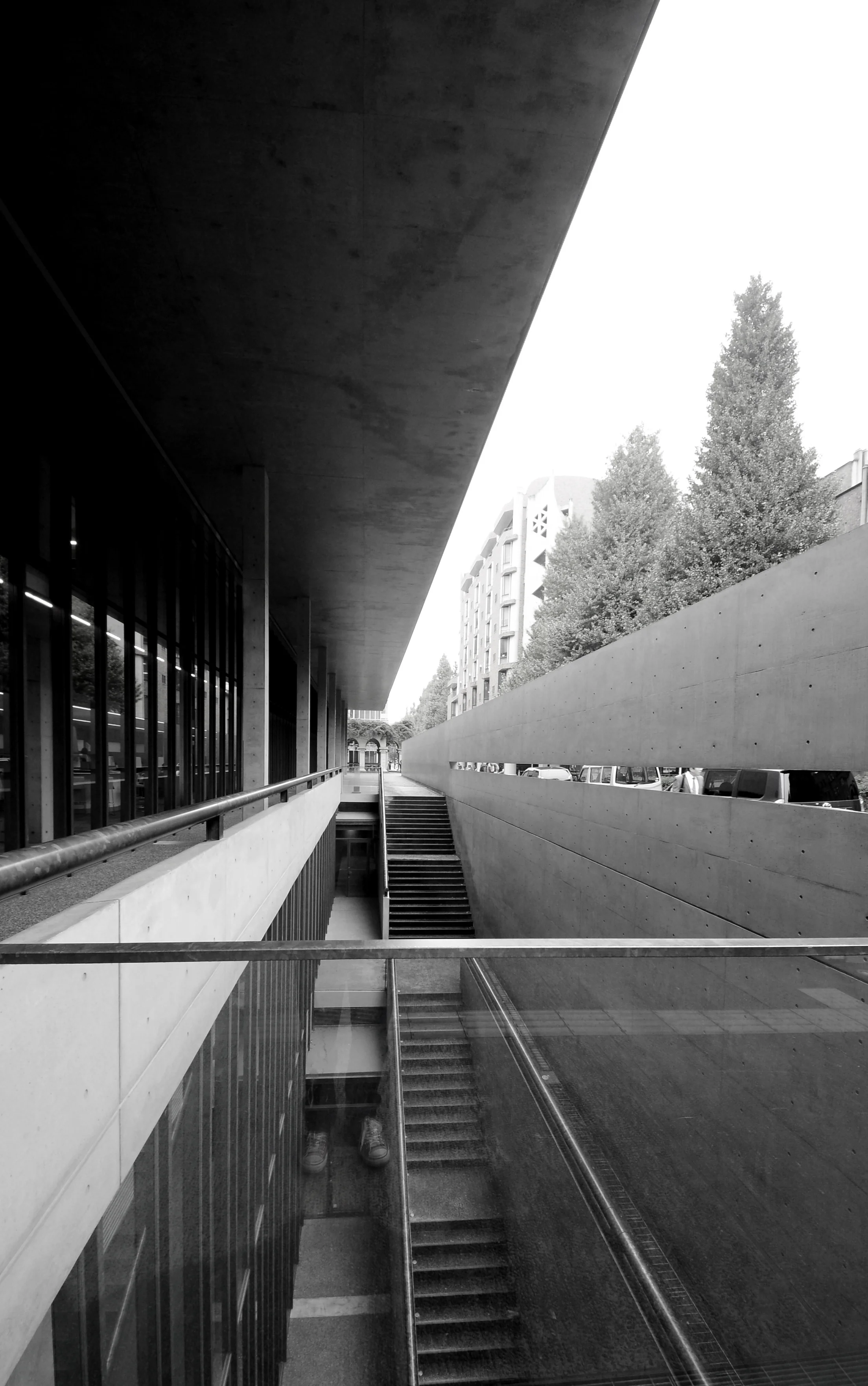 Tadao Ando - Fukutake Hall Univeristy of Tokyo - Andrew Pham 30.jpg