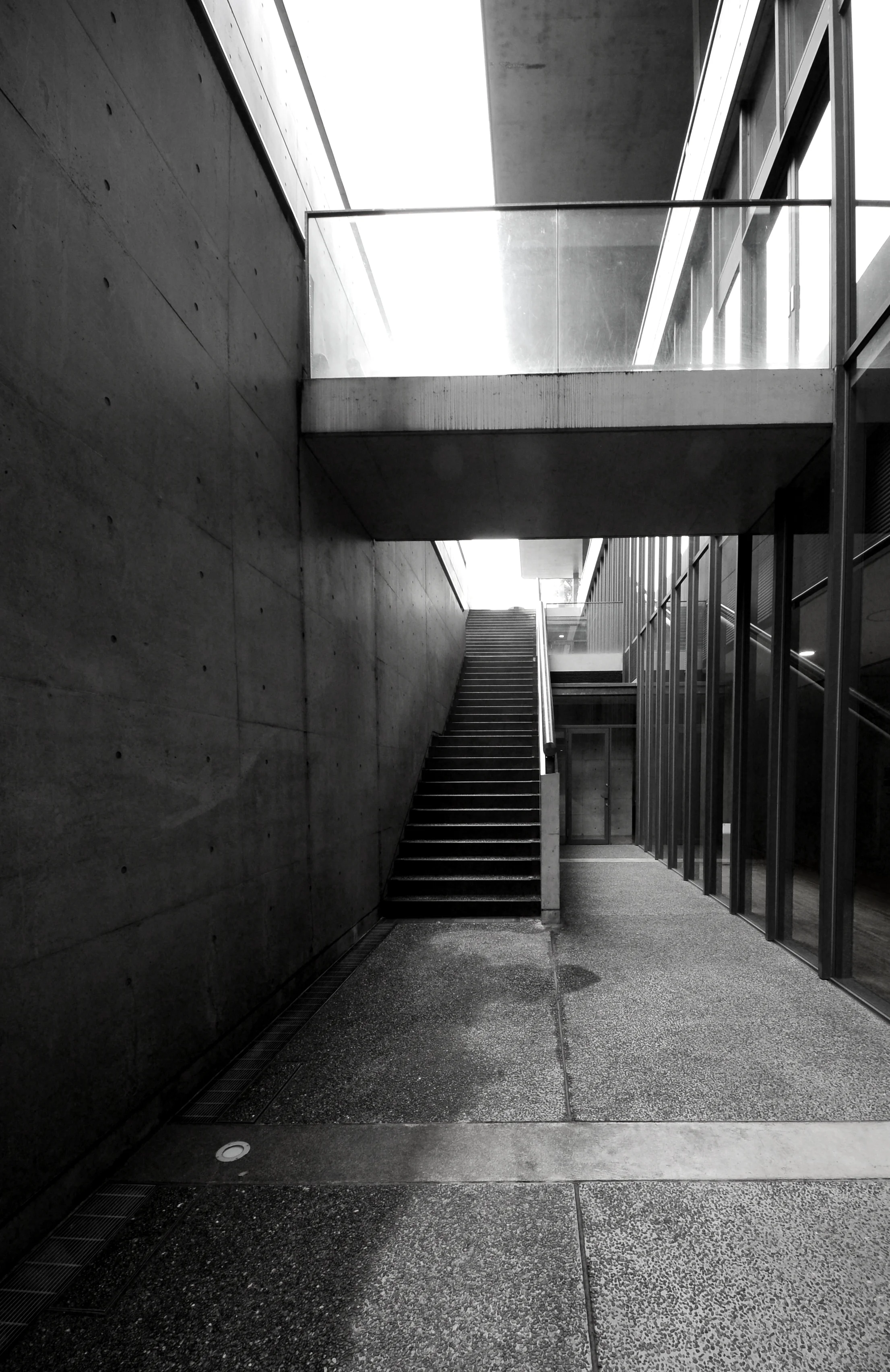 Tadao Ando - Fukutake Hall Univeristy of Tokyo - Andrew Pham 01.jpg