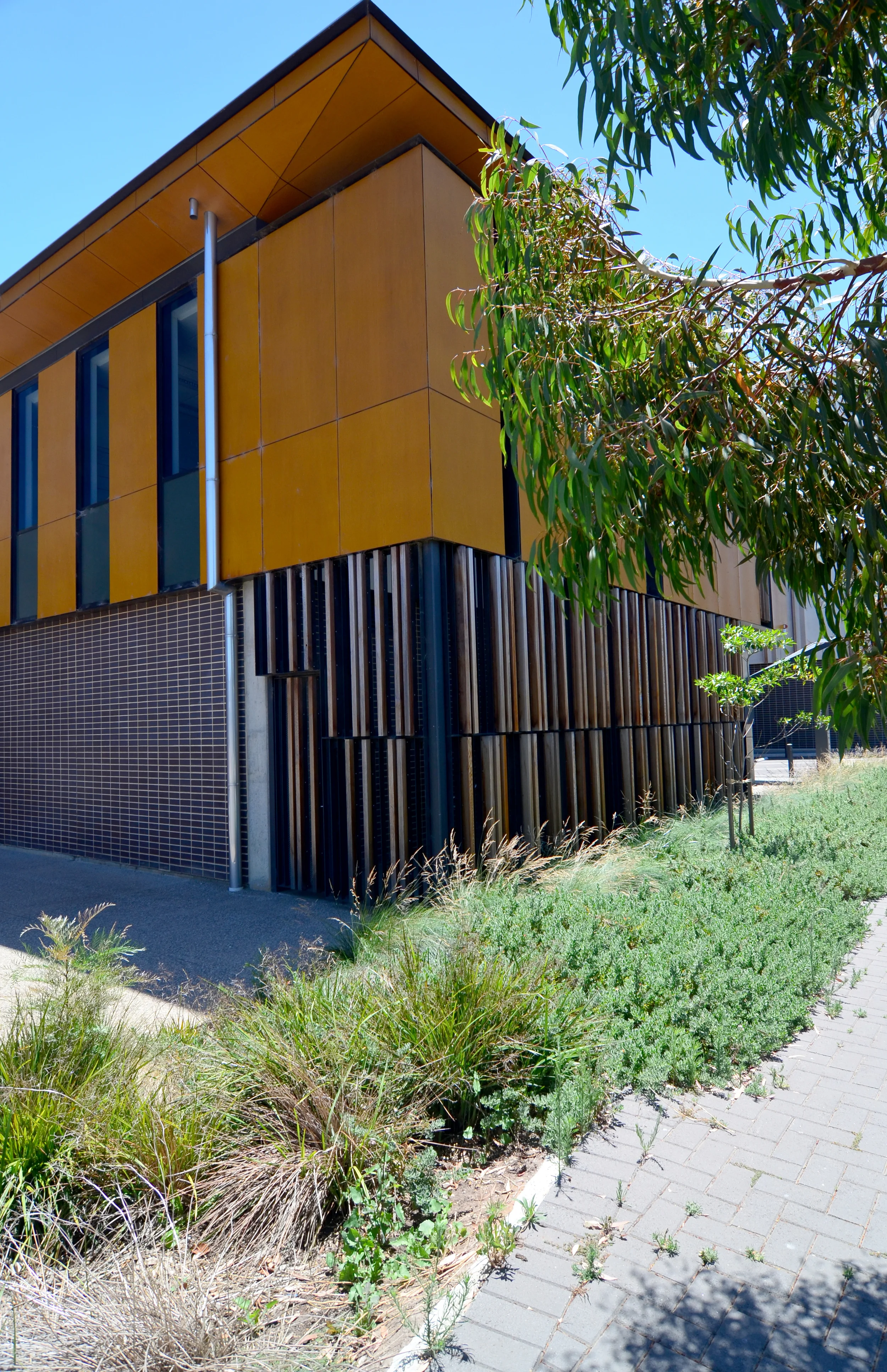 Grieve Gillett Architects_Adelaide Studios_Andrew Pham 21.jpg