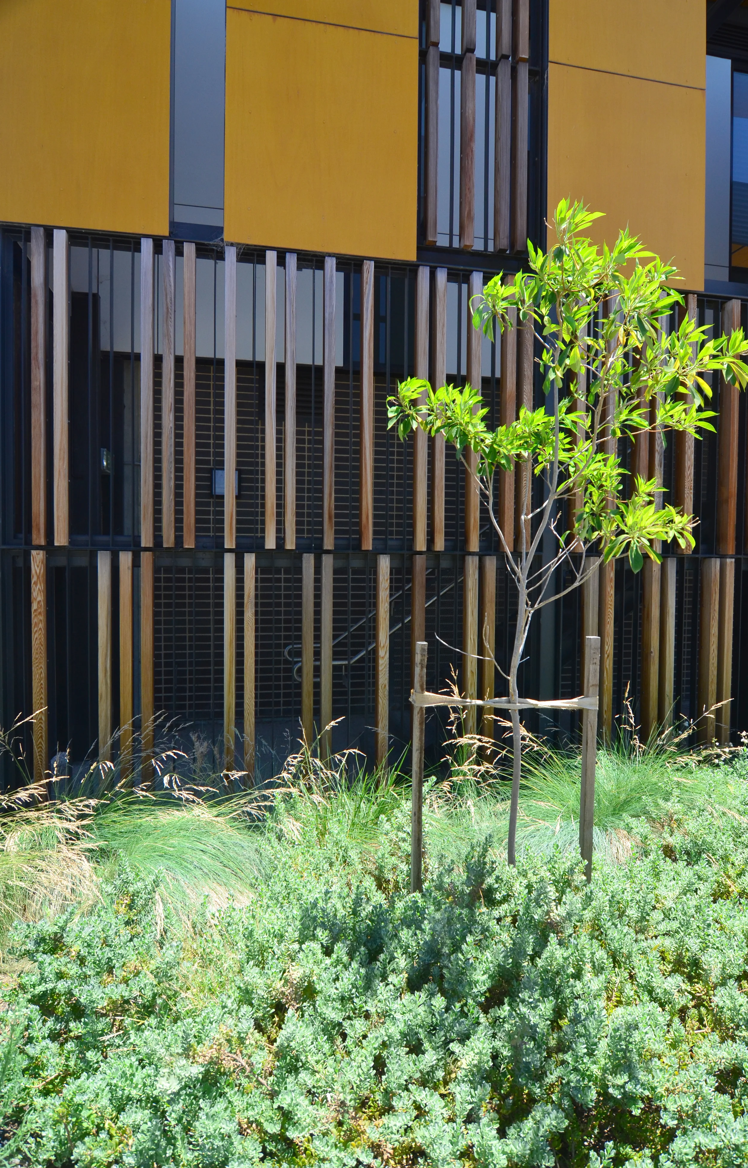 Grieve Gillett Architects_Adelaide Studios_Andrew Pham 22.jpg