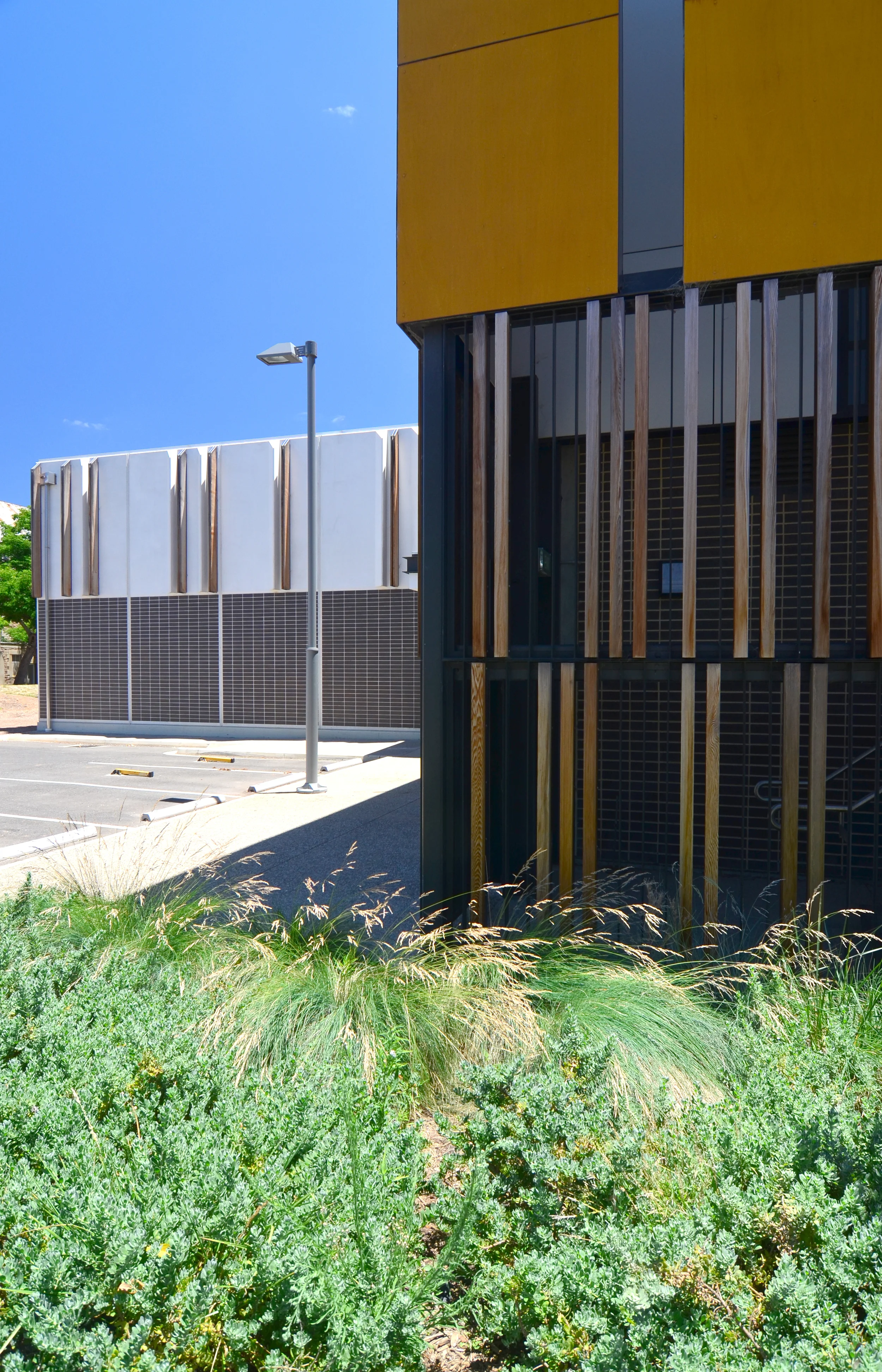 Grieve Gillett Architects_Adelaide Studios_Andrew Pham 23.jpg