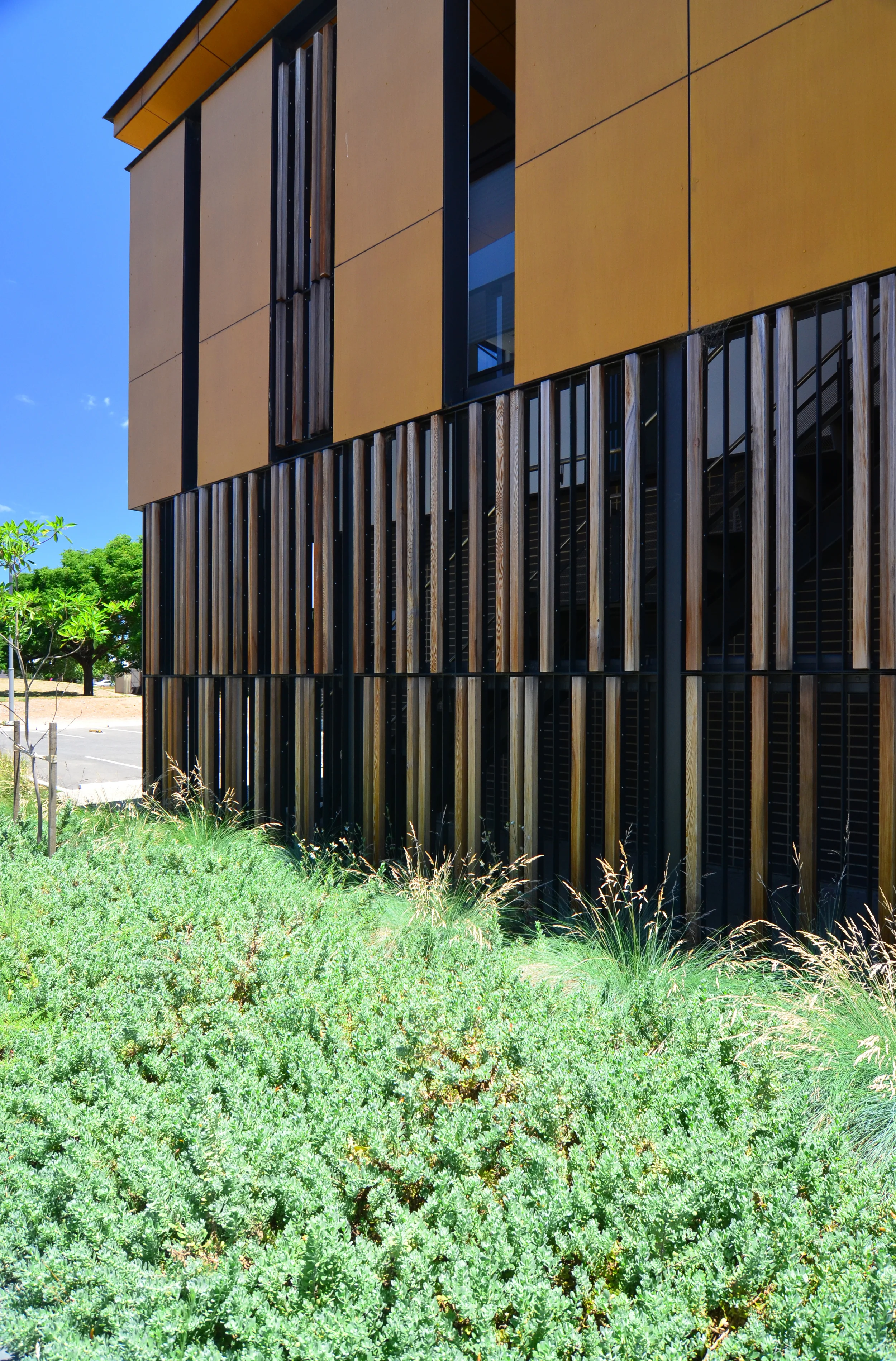 Grieve Gillett Architects_Adelaide Studios_Andrew Pham 24.jpg
