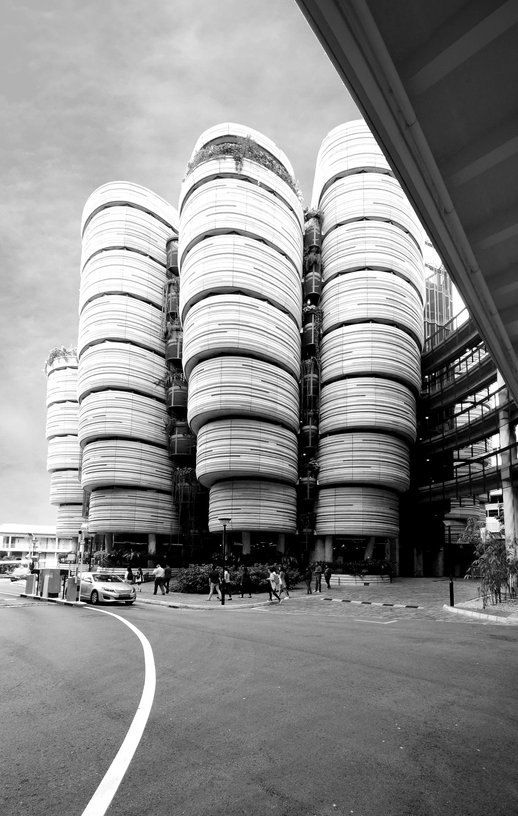 Thomas Heatherwick Architects_Nanyang University_The Learning Hub The Hive 21 bw.jpg