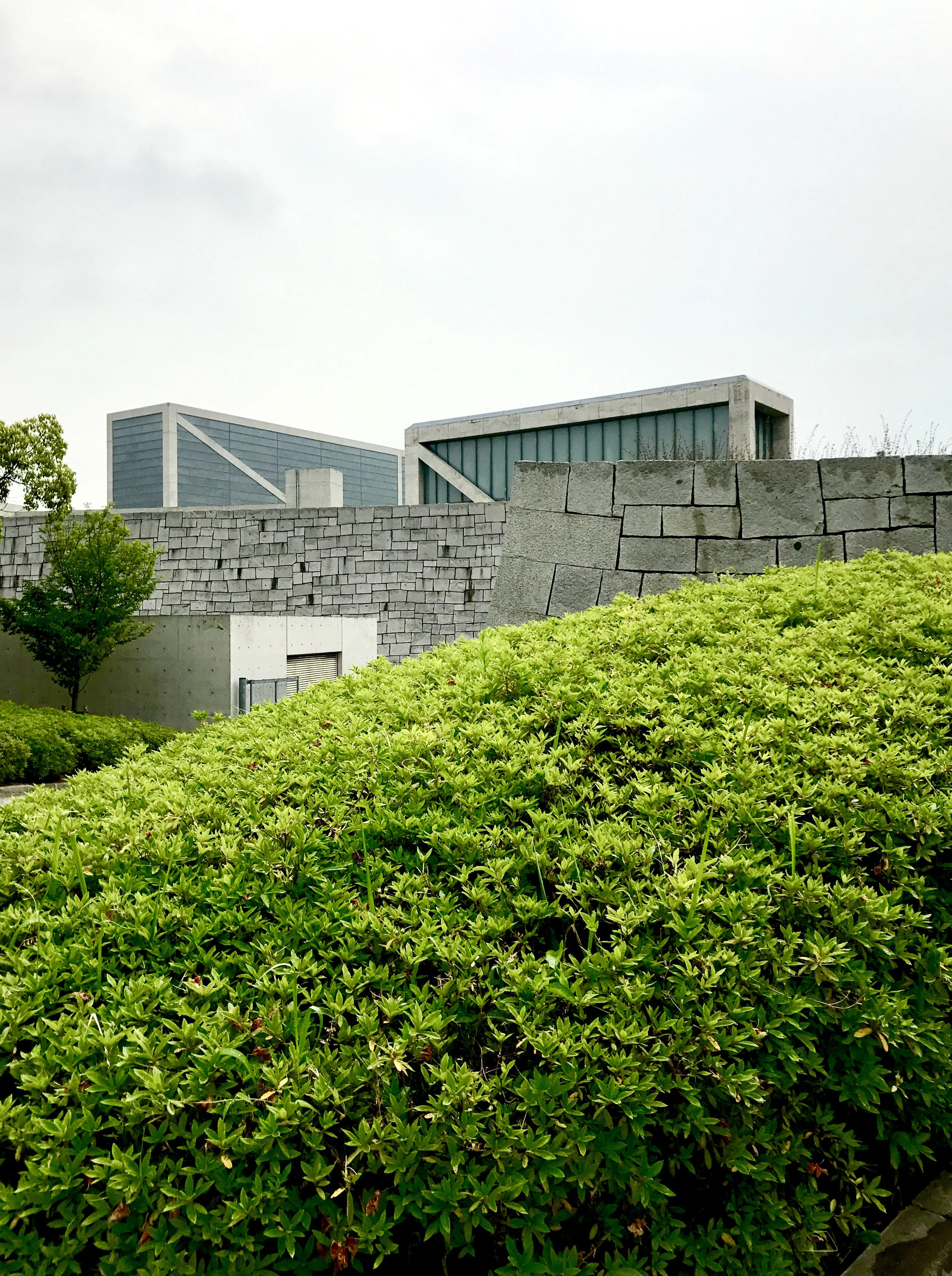 Tadao Ando _ Sayamaikehaku Museum _ Osaka _ Andrew Pham 129.jpg