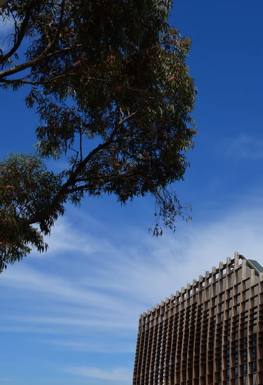 John Wardle Architects_ M2 Plasso_Adelaide_Andrew Pham 43.jpg