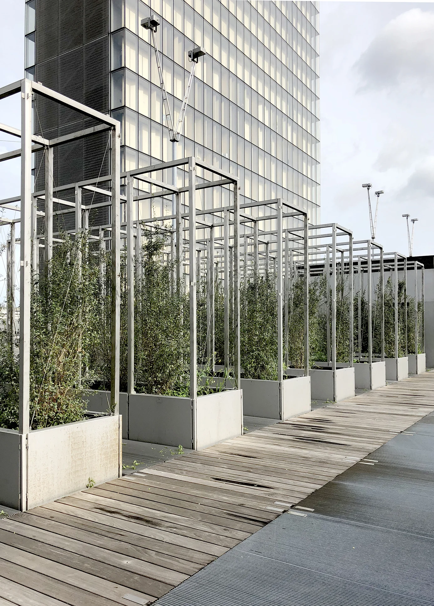 Bibliotheque Nationale Paris _ Dominique Perrault Architects _ Andrew Pham 66.jpg