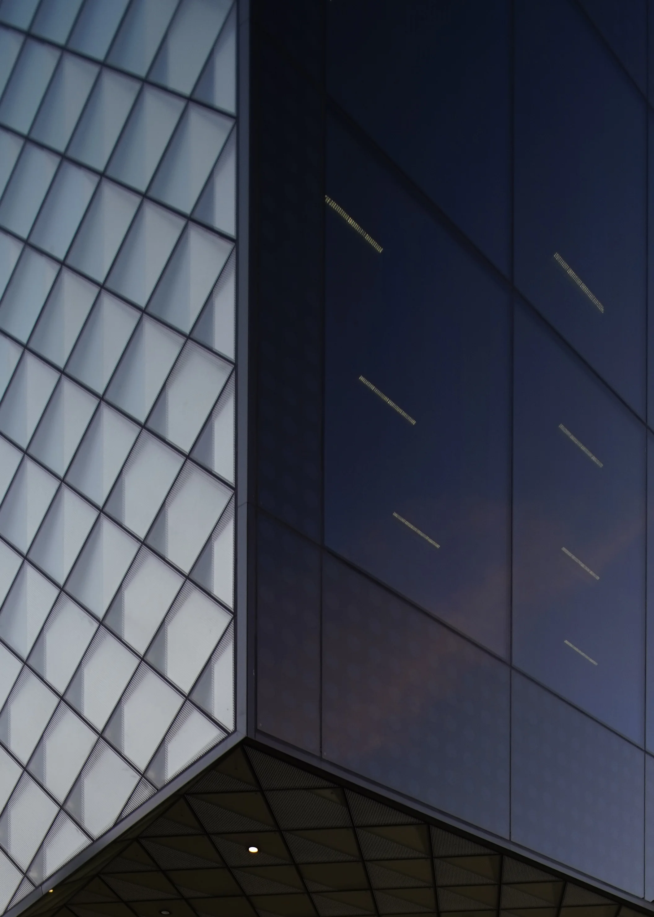 Richter Musikowski Architects_Munich Futurium_Andrew Pham 31.jpg