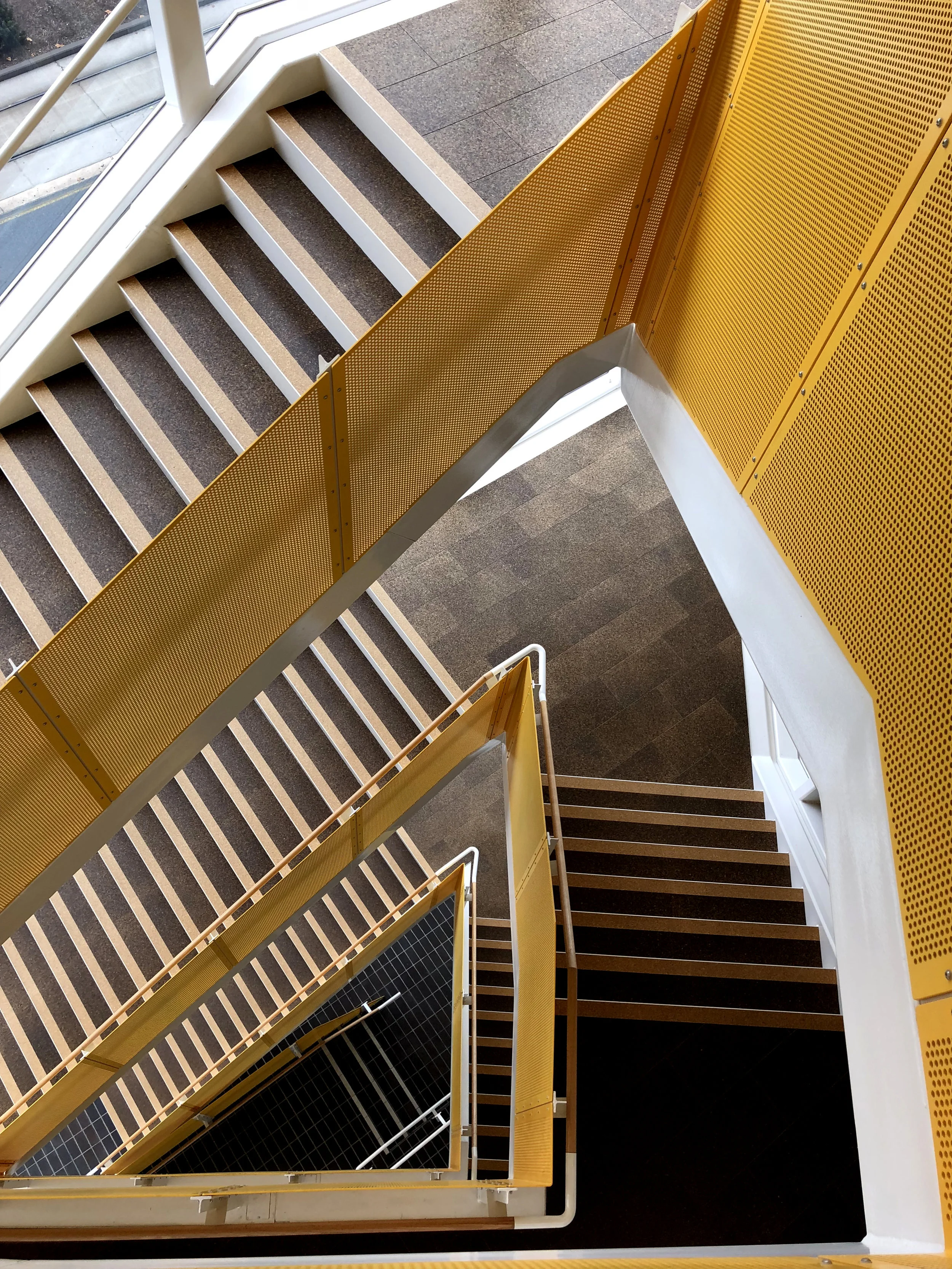 University of Adelaide - Health and Medical Sciences Building - Lyons Architecture - Andrew Pham 24.jpg