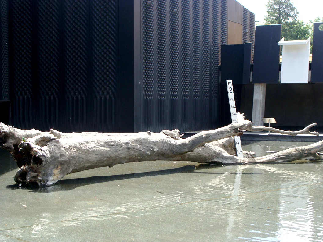 ARM Architects_National Museum of Australia_Canberra_Andrew Pham 24.jpg
