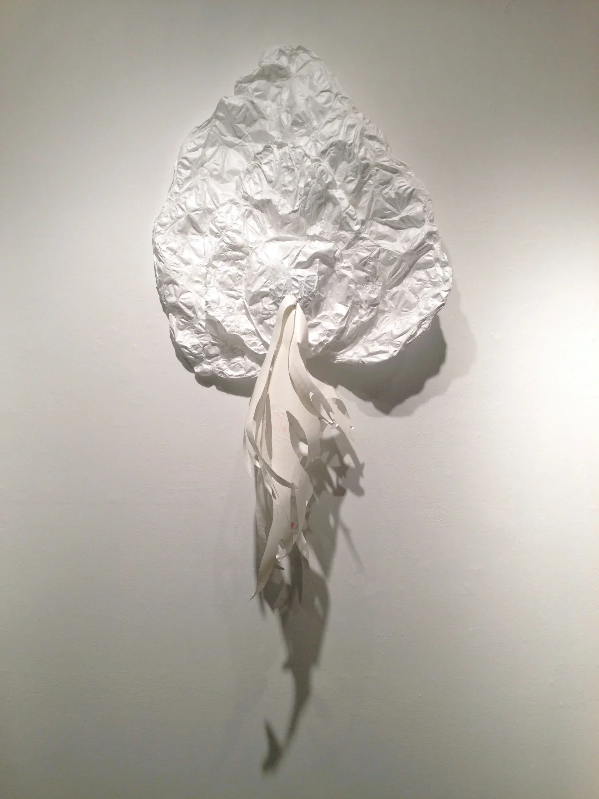 Installation view | BLACKgreyWHITE