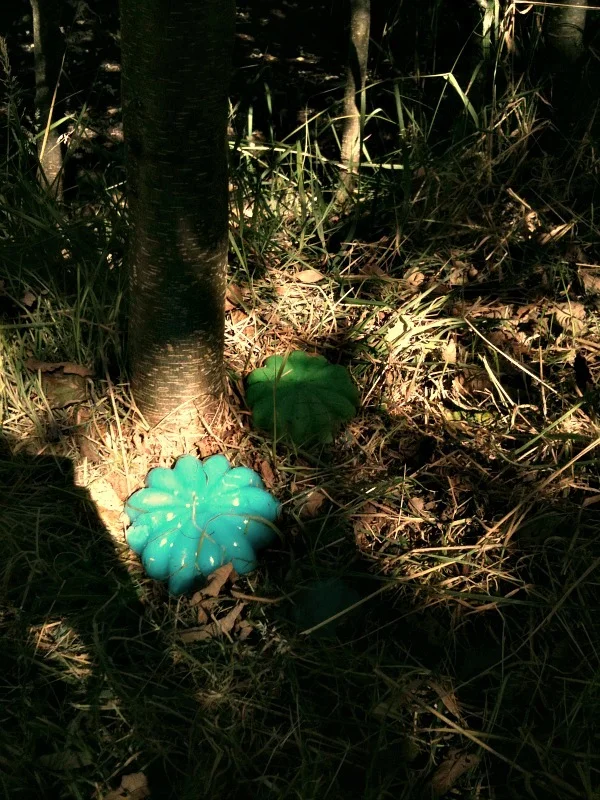 JelLo-Fi | Aqua Jello by the stream