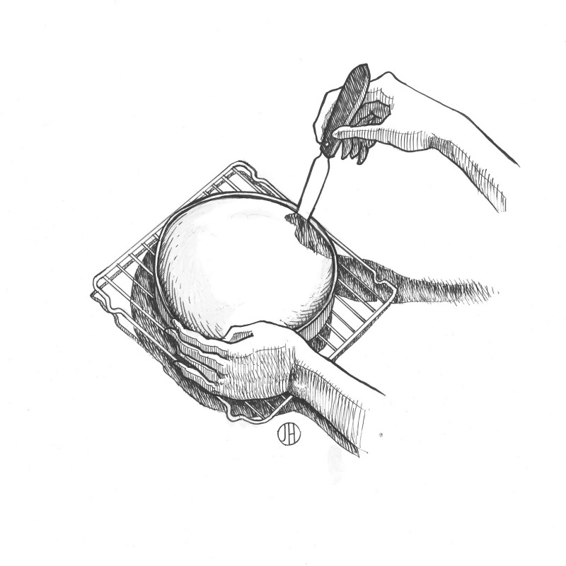 Joy of Cooking illustration