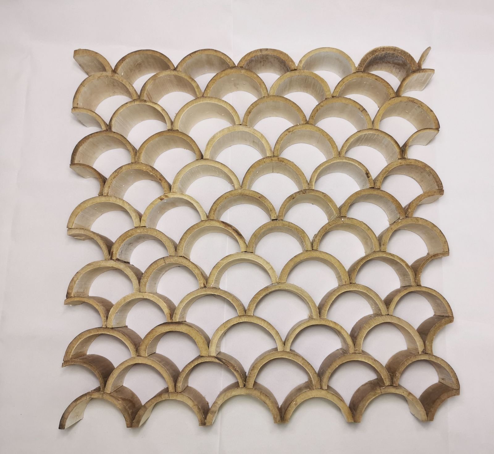 WhatsApp Image 2025-03-29 at 06.08.56.jpeg