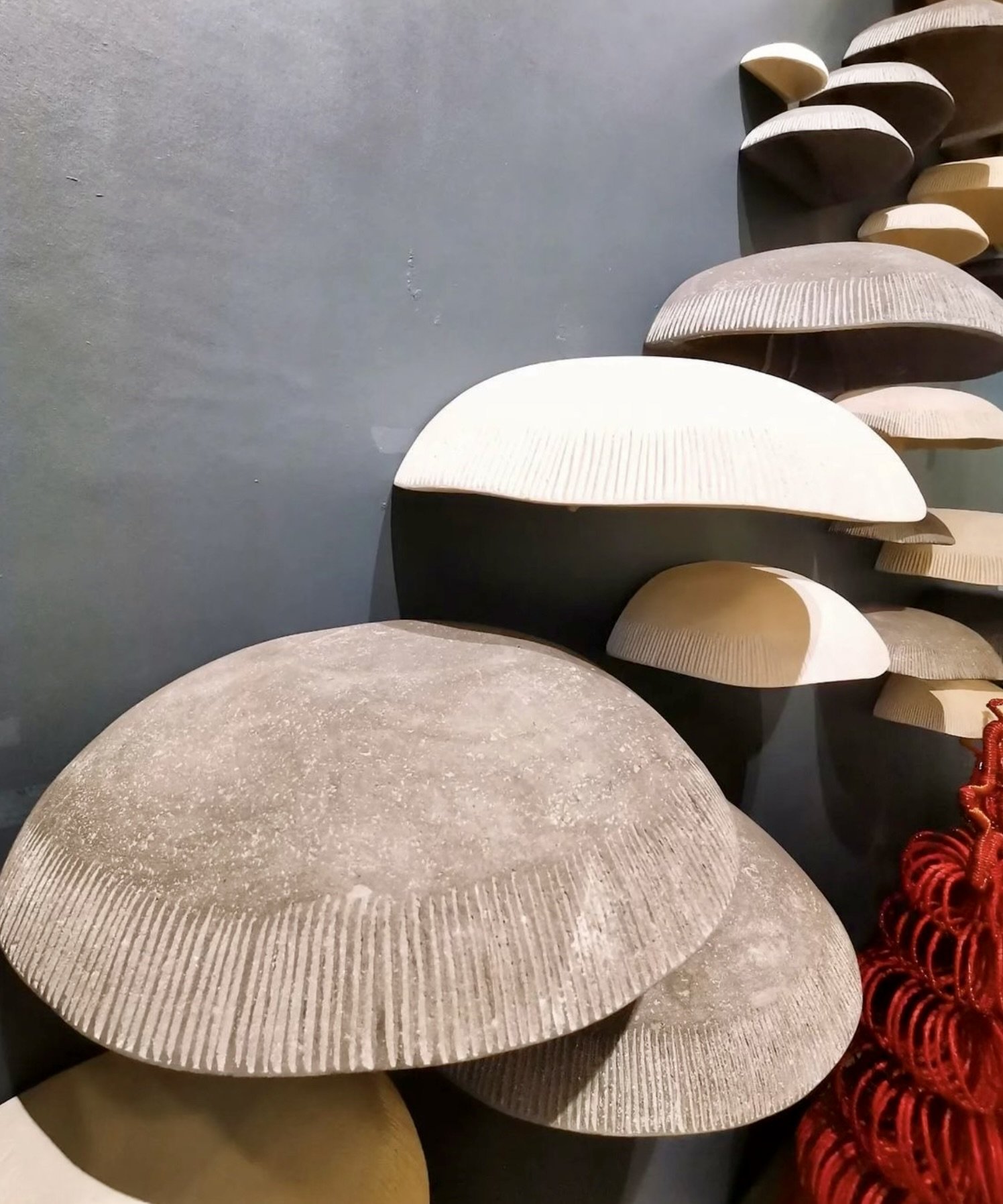 Screen Shot 2022-02-04 at 9.04.02 AM.jpeg