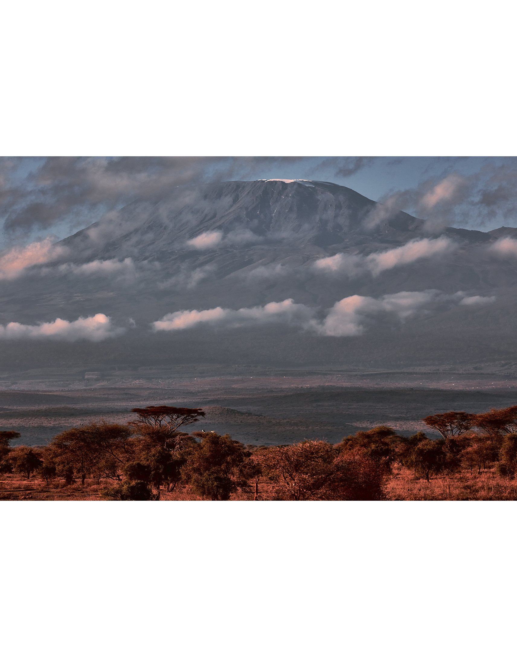 Kenya_Safari+Mombasa_2048.jpg