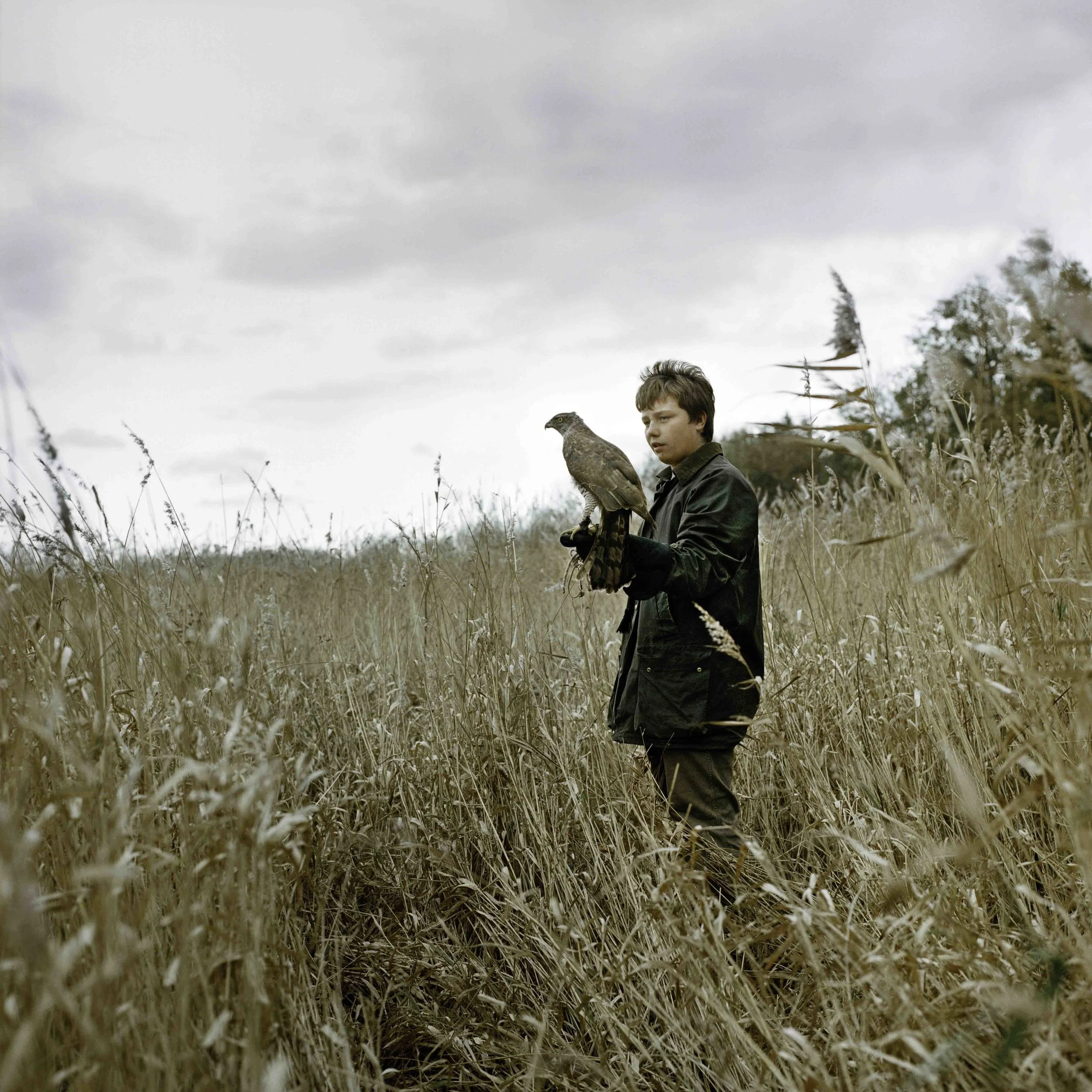 Loek Buter_ Vogelkinderen_Nick.jpg