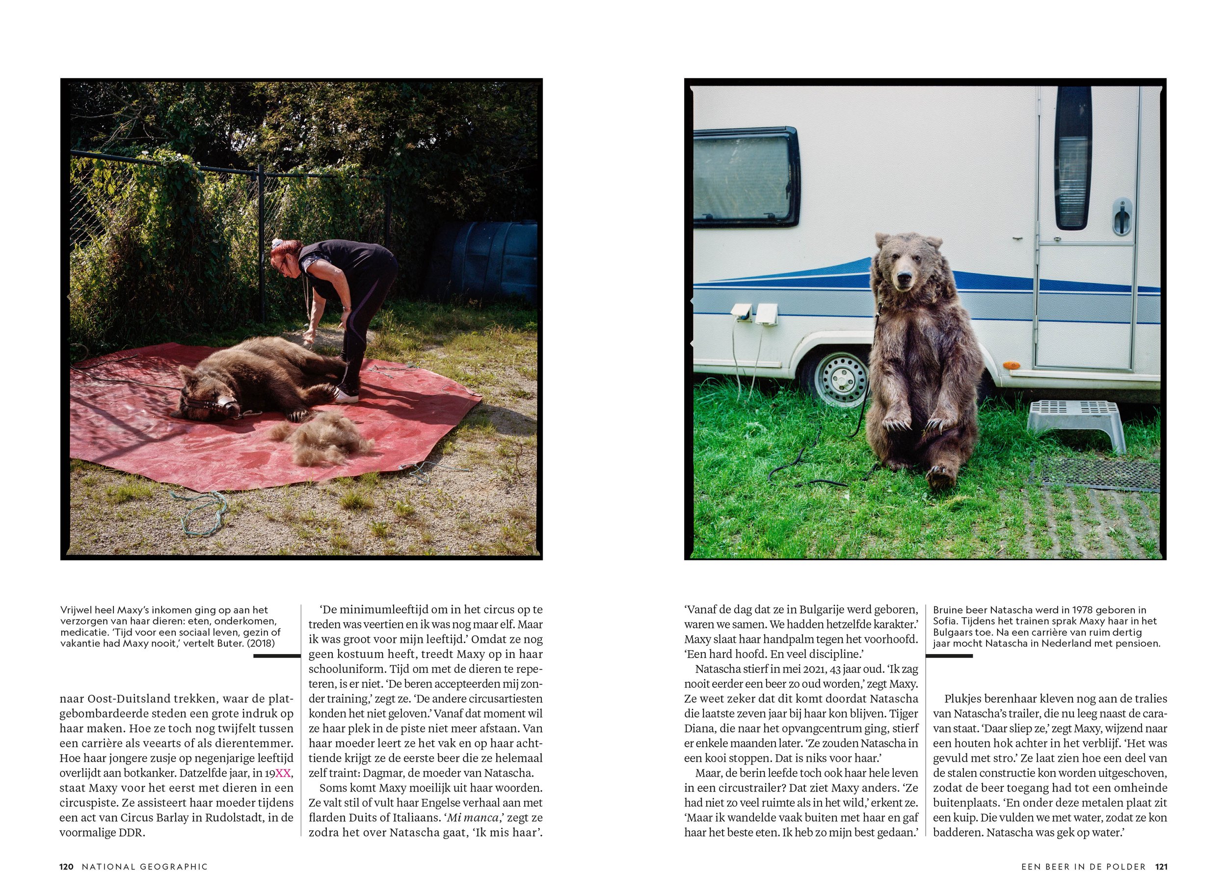 211217 - National Geographic Magazine -Een beer in de polder - 5.jpg