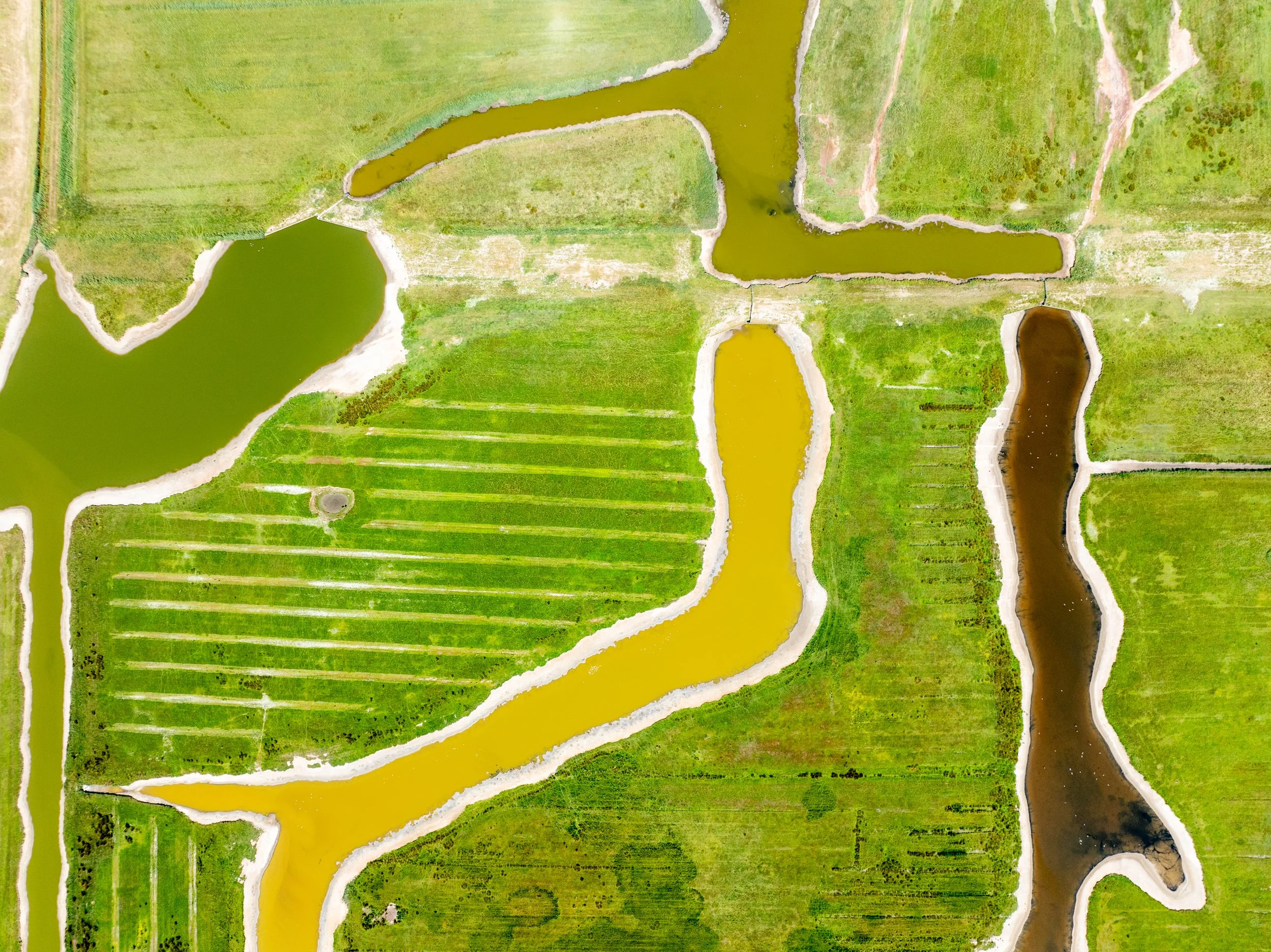 Keepers of the wild orchid-7.jpg