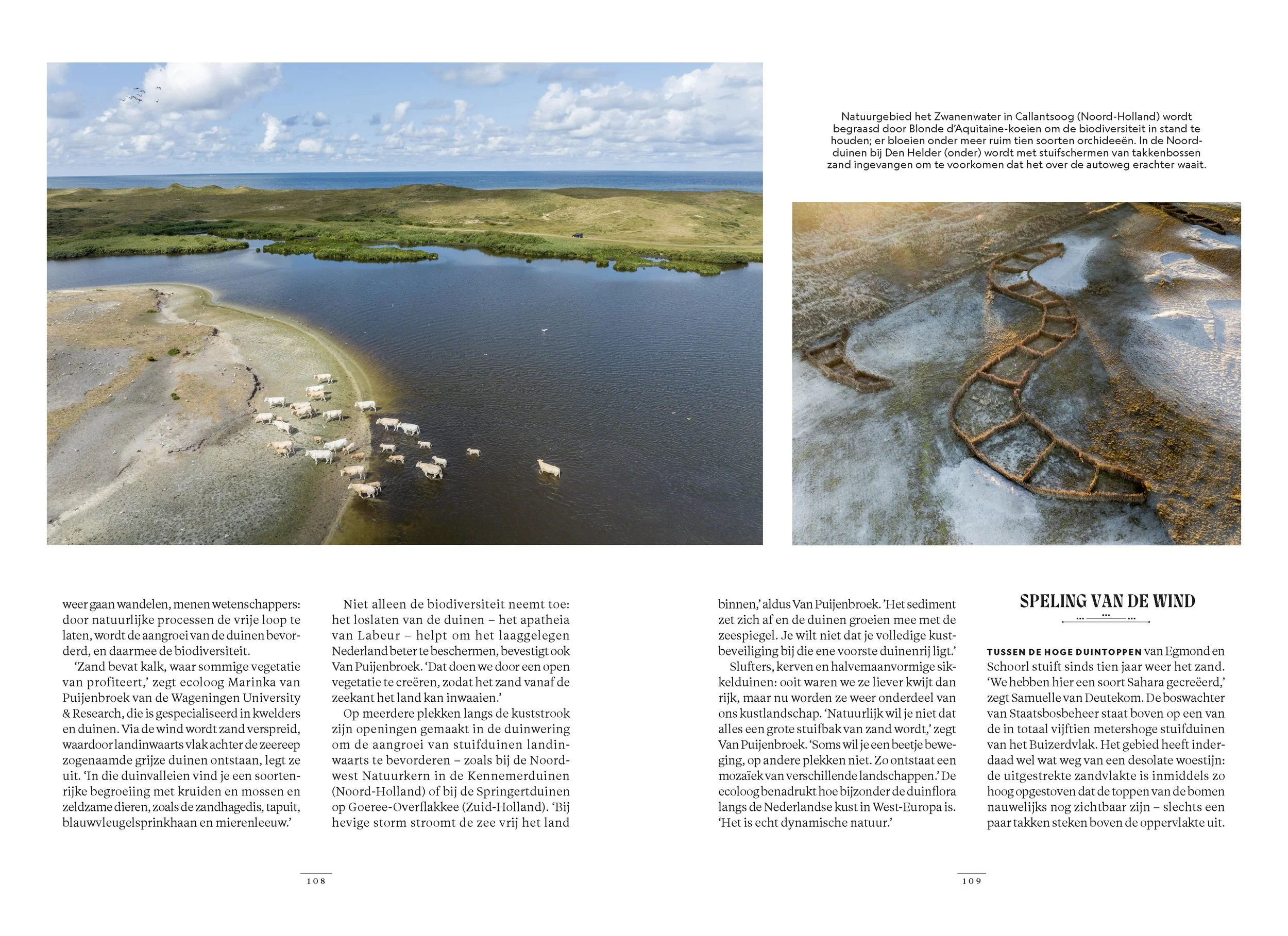 241101 - Duinen - National Geograhic Magazine - 4.jpg