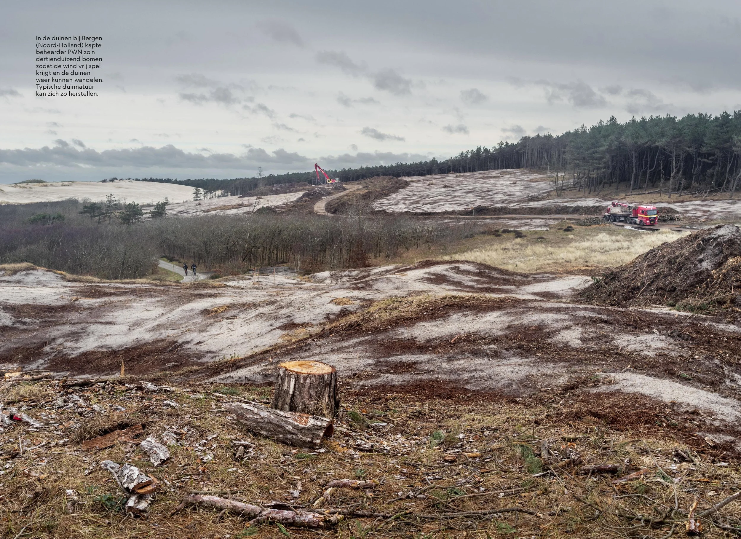241101 - Duinen - National Geograhic Magazine - 5.jpg