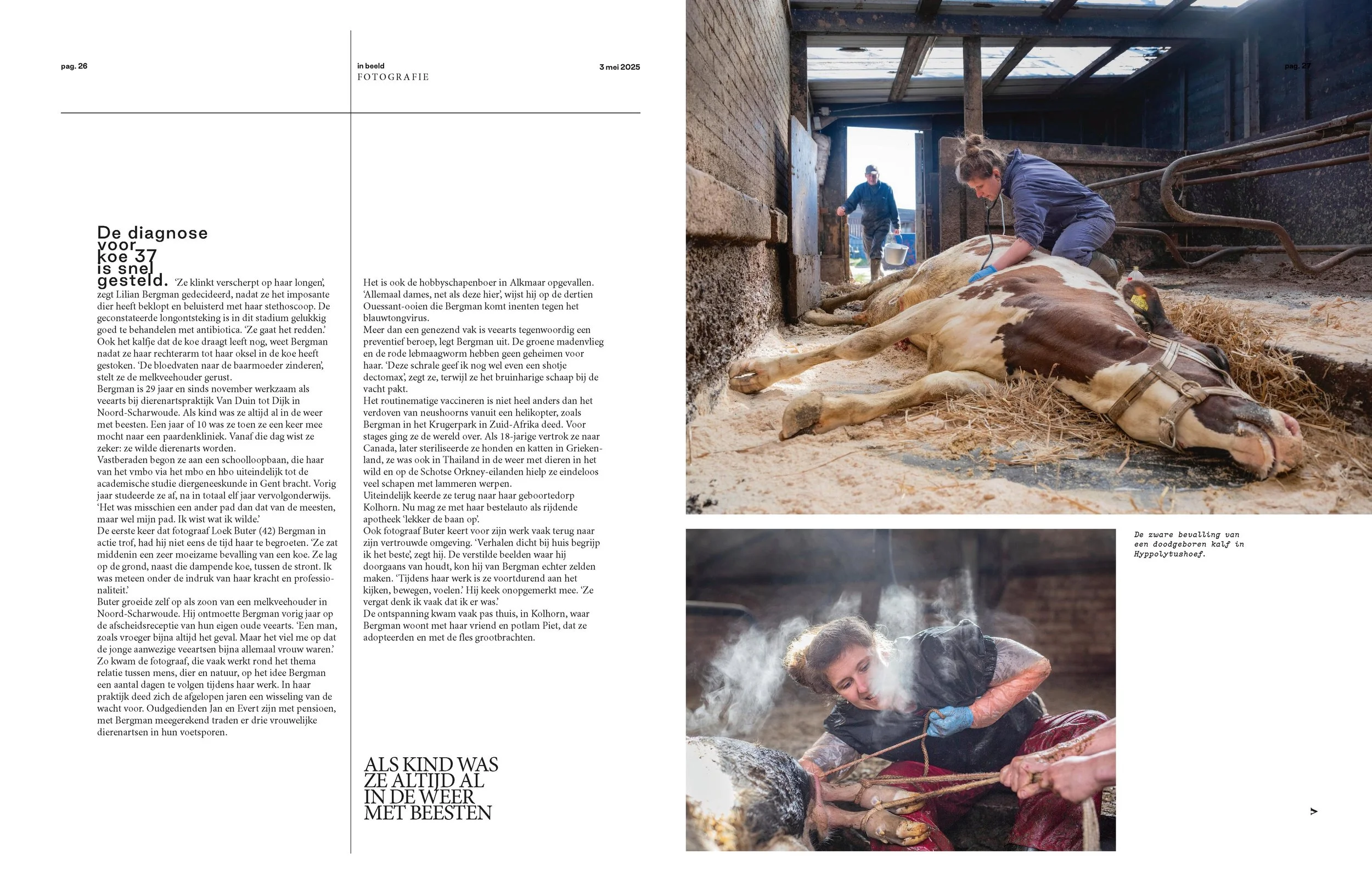 250503 - Volkskrant - veearts - 2.jpg