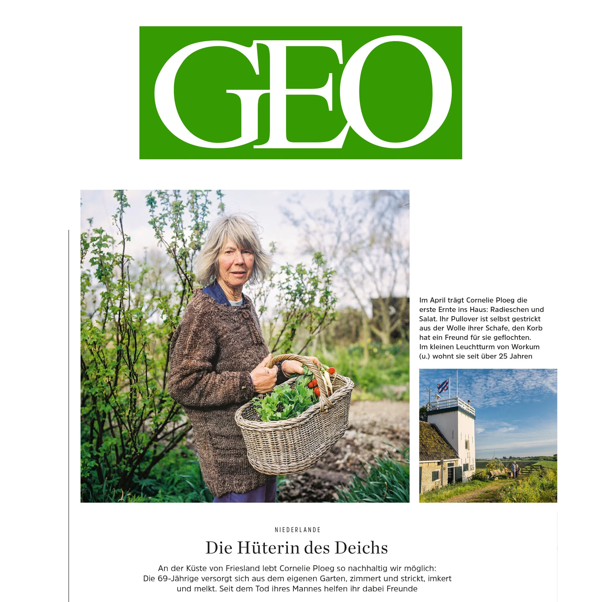 tearsheet-8.jpg