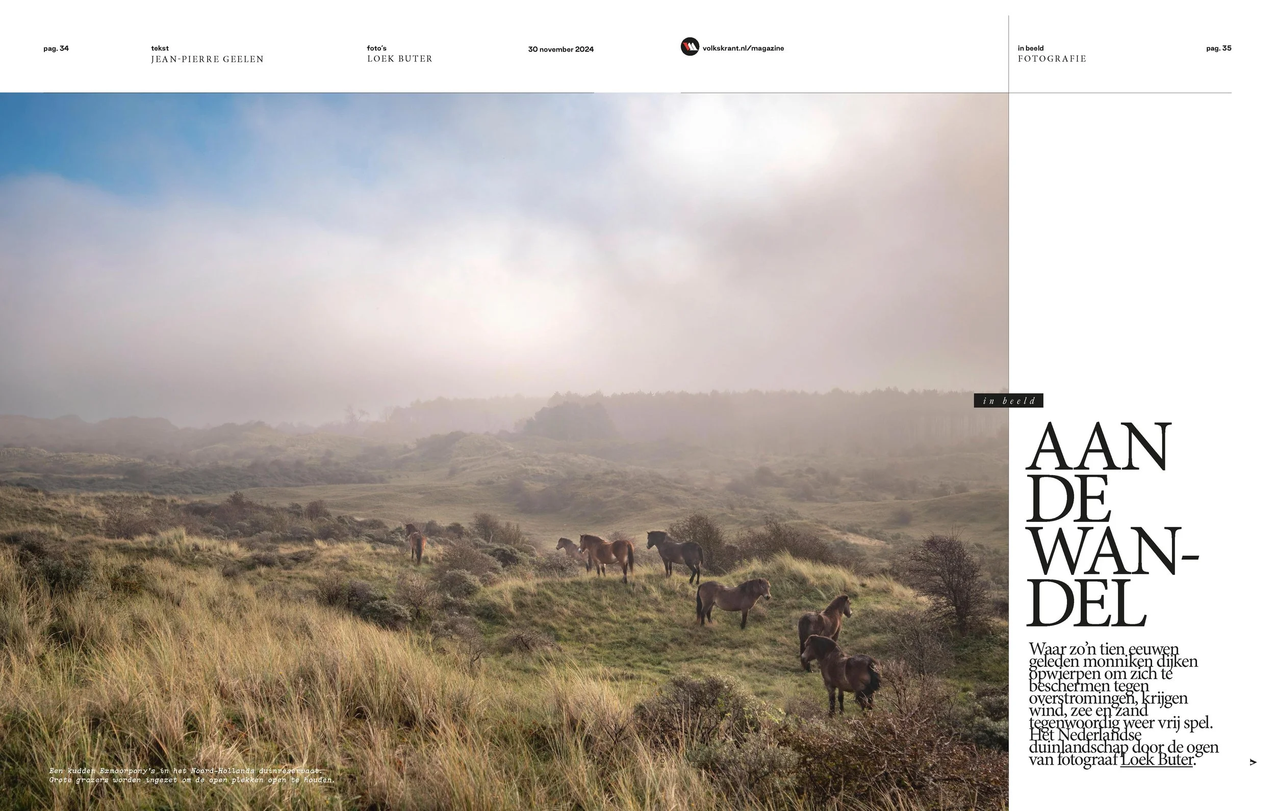 tearsheet-11.jpg