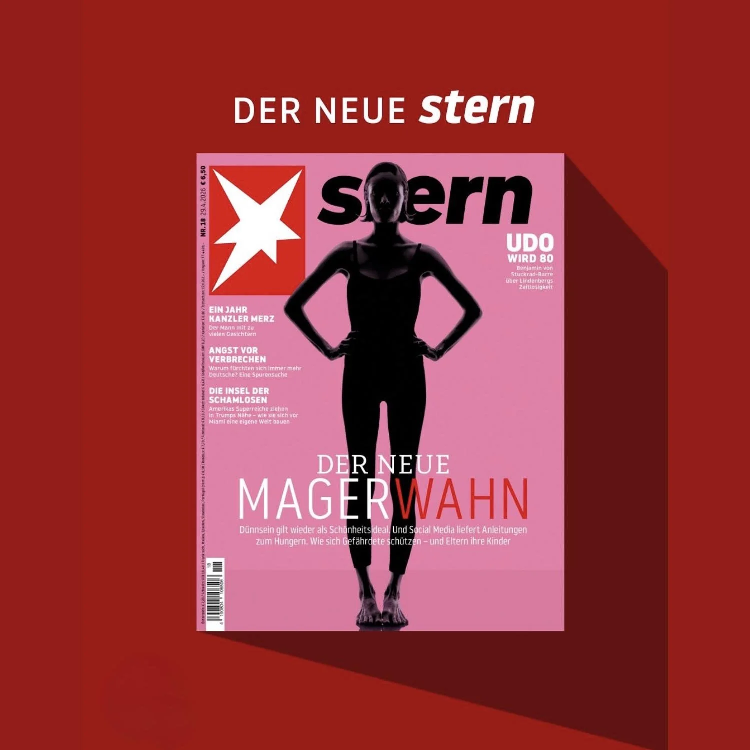 stern cover.jpg
