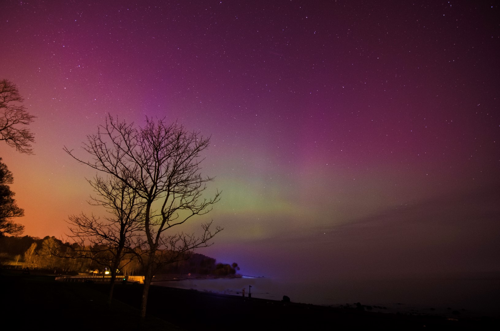 The display sneaks past the light pollution at Carnfunnock