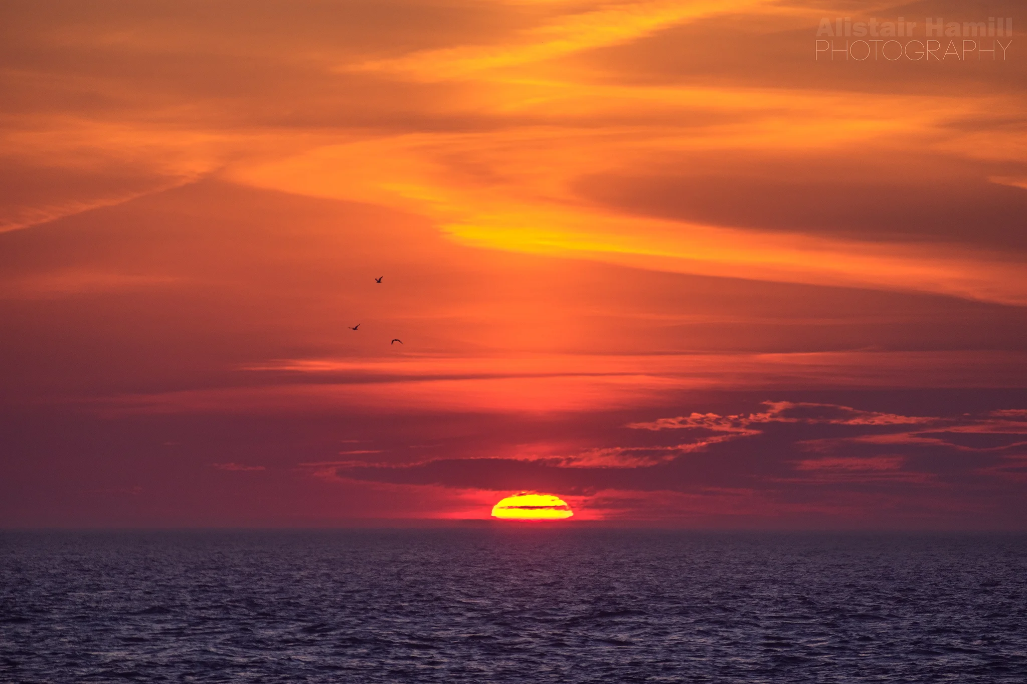 Sunset (large) WM.jpg