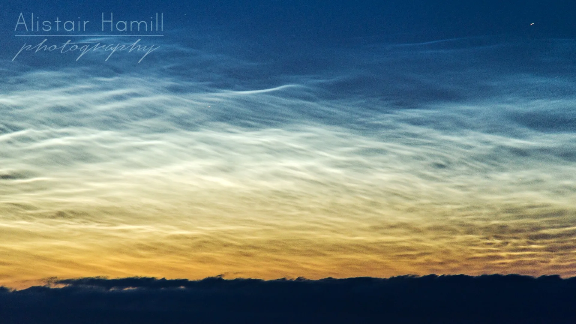 NLC+close+up+(Large).jpg