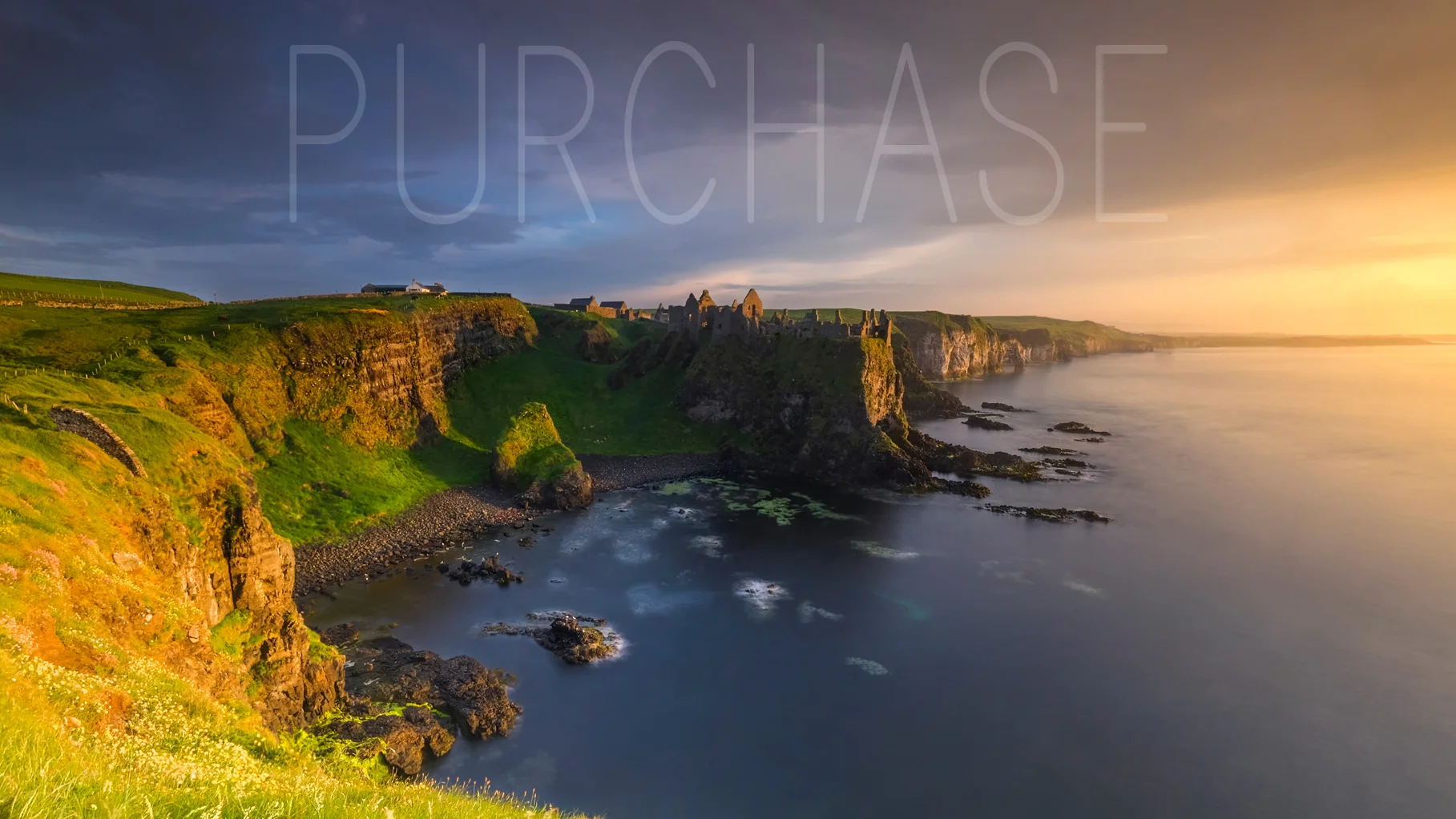 Purchase page banners.jpg