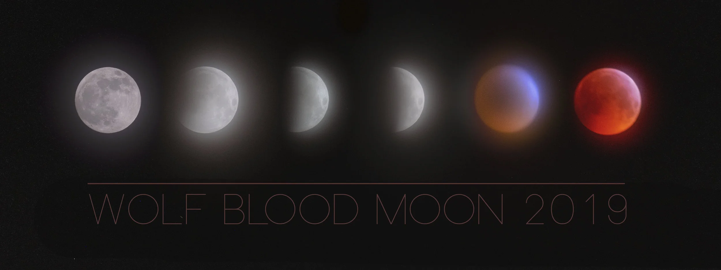 Wolf Blood Moon montage.jpg
