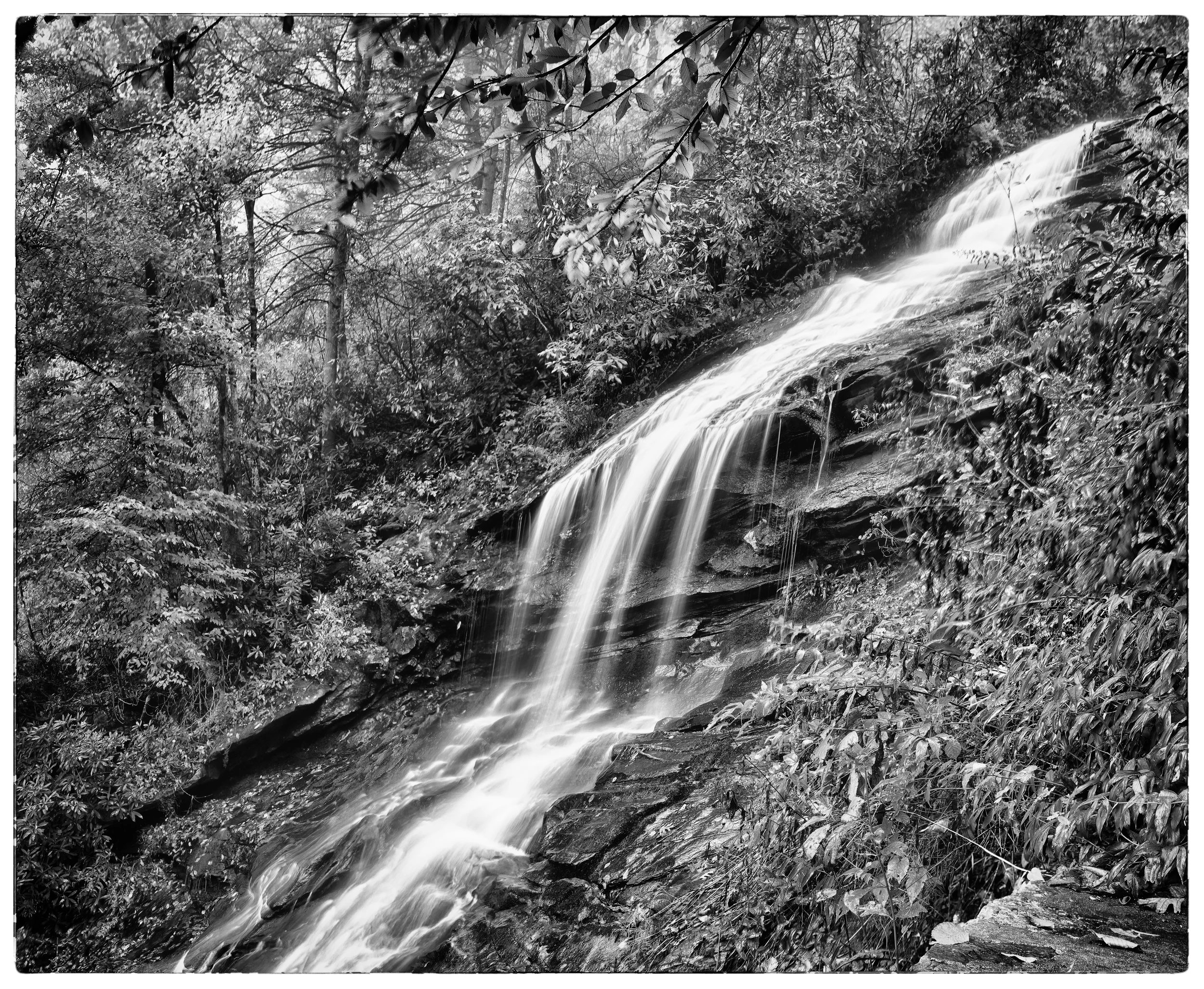 IMG_9464_HDR_stitch_ed3_reduced file size.jpg