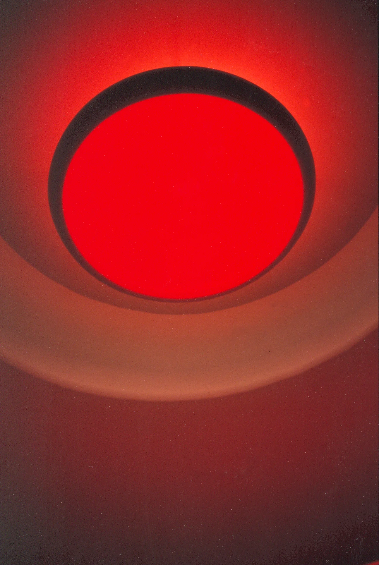  Shepherd's Delight 2001 