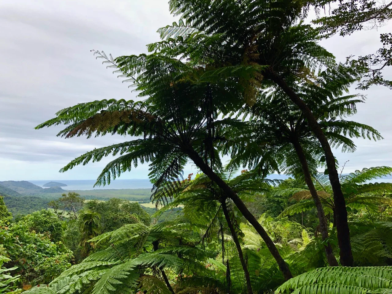 Port Douglas 2018 - 85 of 134.jpg